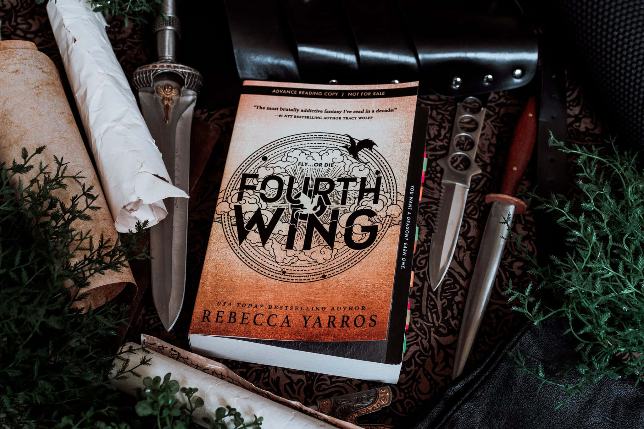 Fourth Wing, fantasy novel, swords, Full HD Desktop Wallpaper