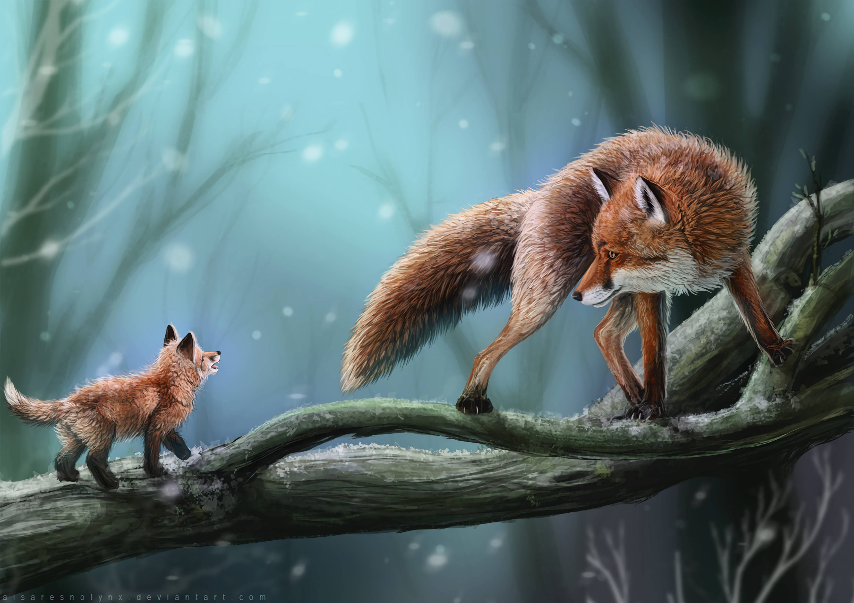 mother fox, baby fox, snow-dusted tree branch, 2K Desktop Wallpaper