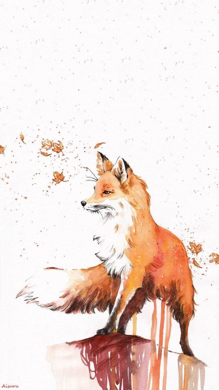 fox, orange fur, white chest, HD Phone Wallpaper