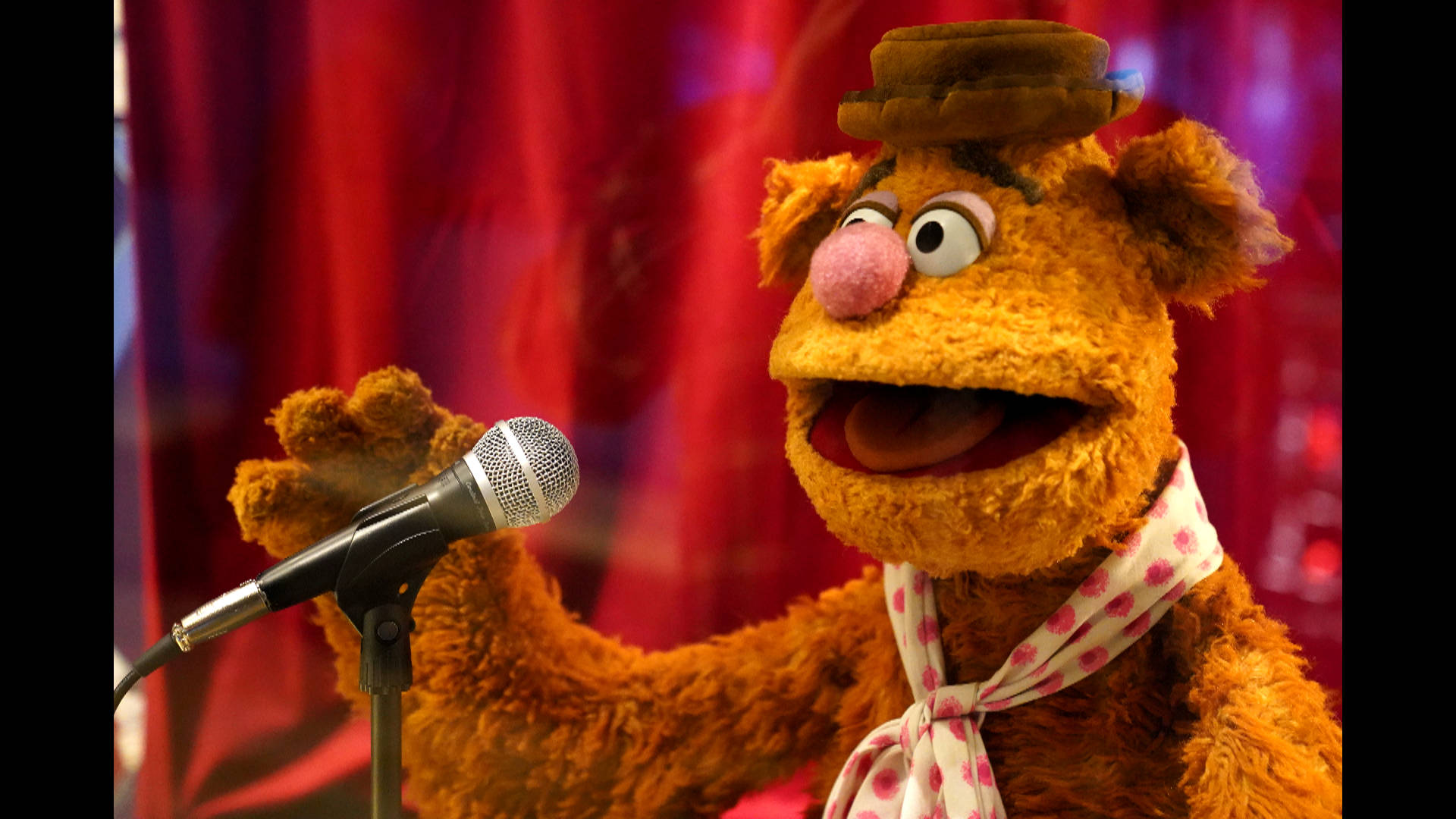 Fozzie Bear, brown hat, polka dot scarf, Full HD Desktop Wallpaper