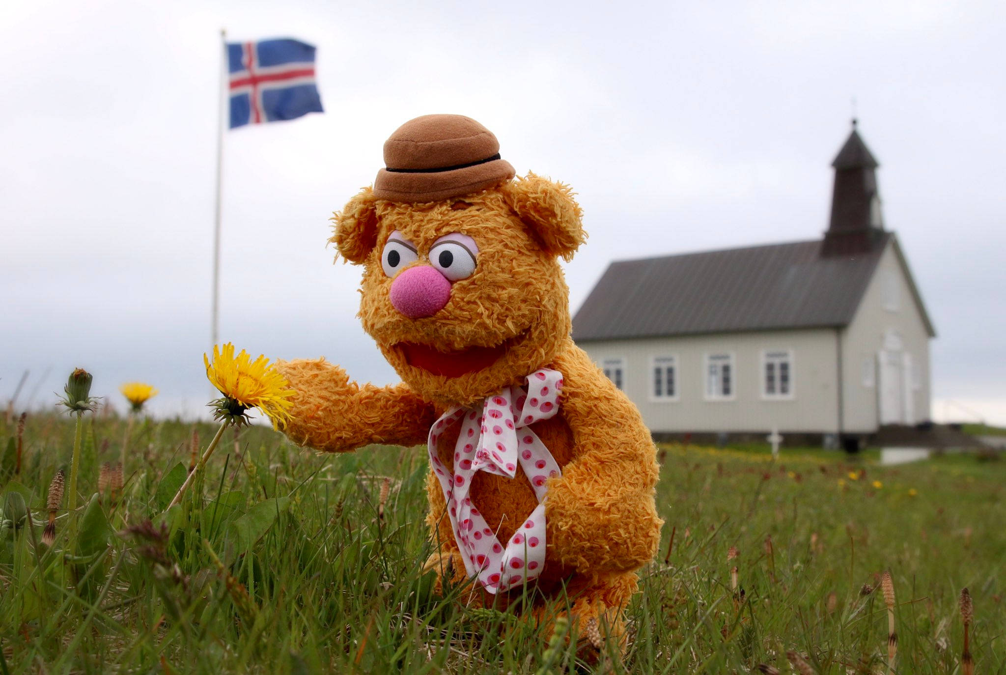 Fozzie Bear, orange puppet, hat, Full HD Desktop Wallpaper