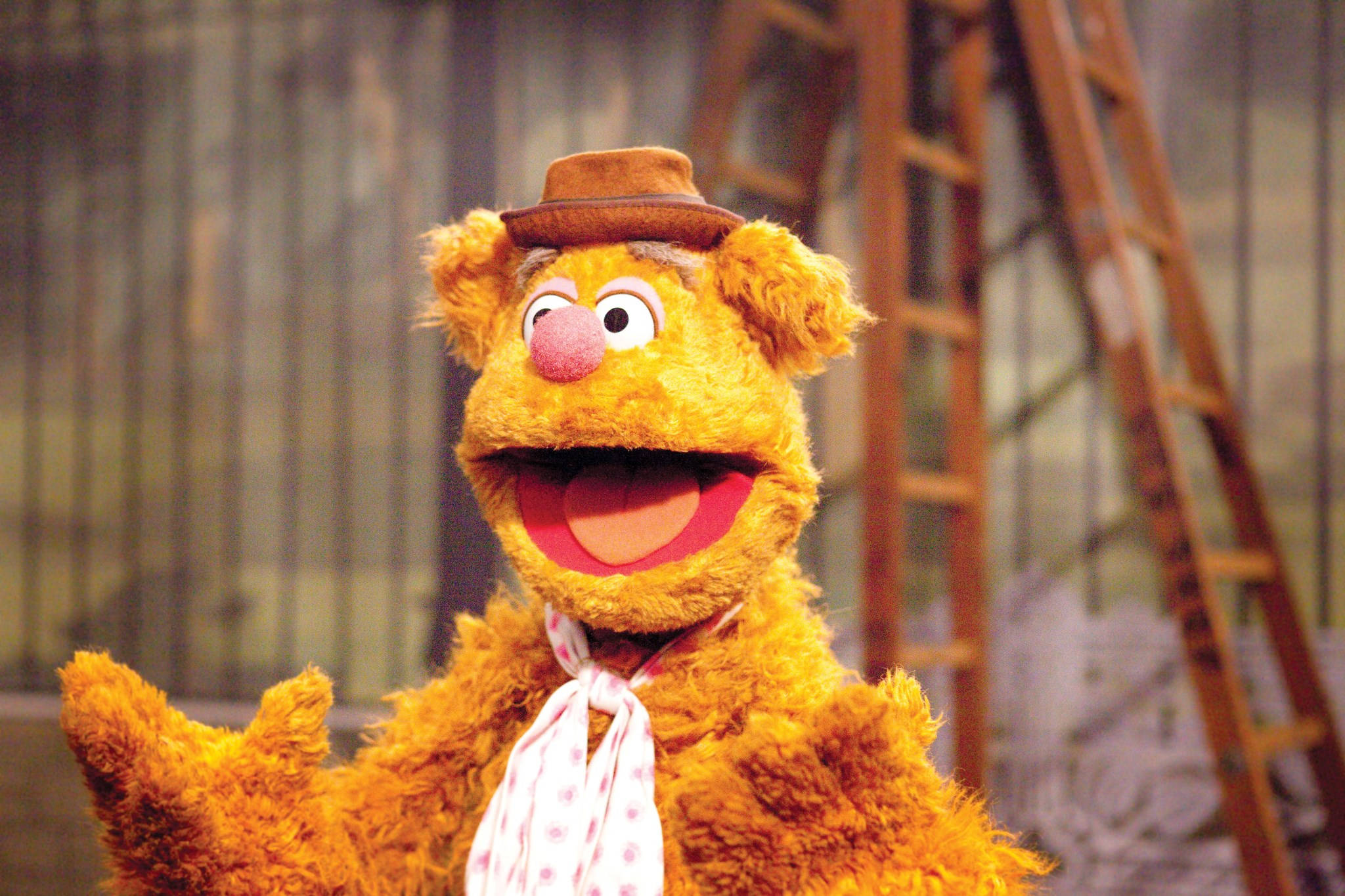 Fozzie Bear, brown hat, polka dot tie, Full HD Desktop Wallpaper