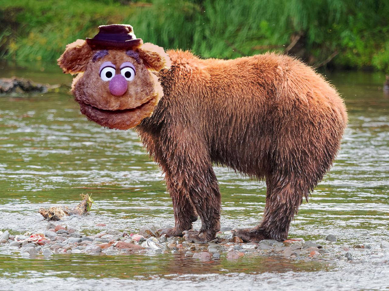 Fozzie Bear, purple hat, shallow river water, HD Desktop Wallpaper