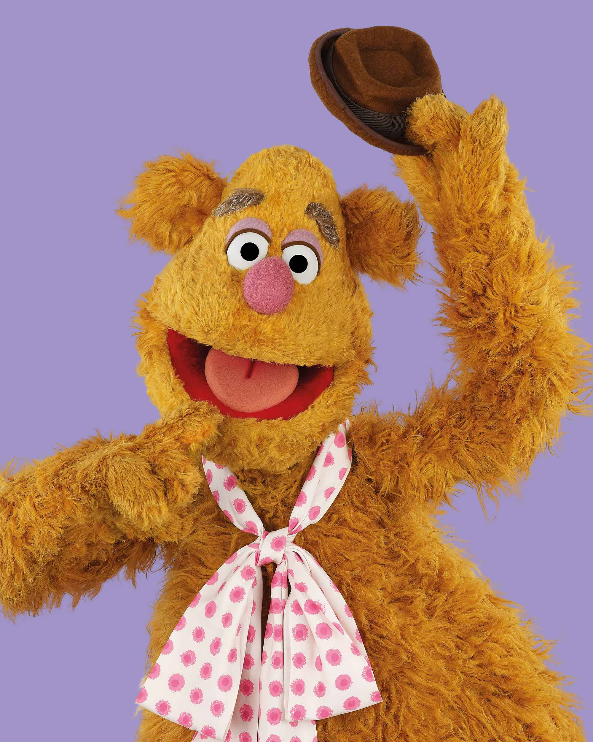 Fozzie Bear, brown hat, lavender background, Full HD Phone Wallpaper