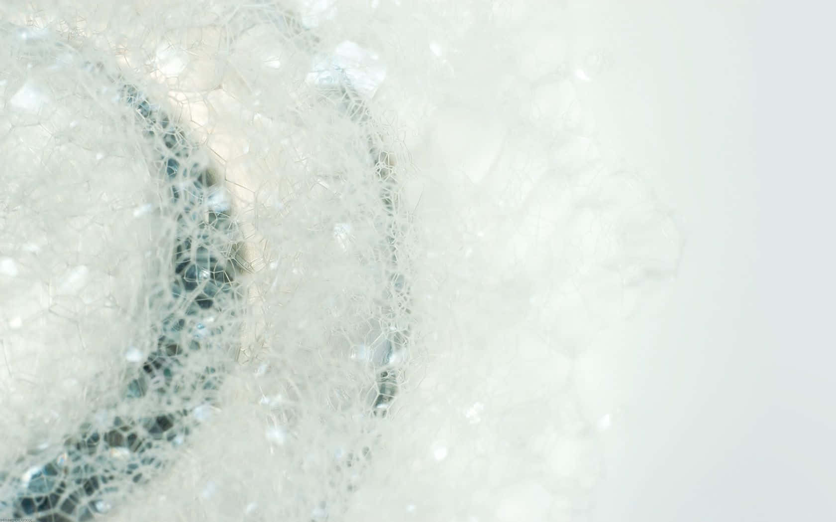 Fragrance, white fibrous texture, subtle blue undertones, HD Desktop Wallpaper