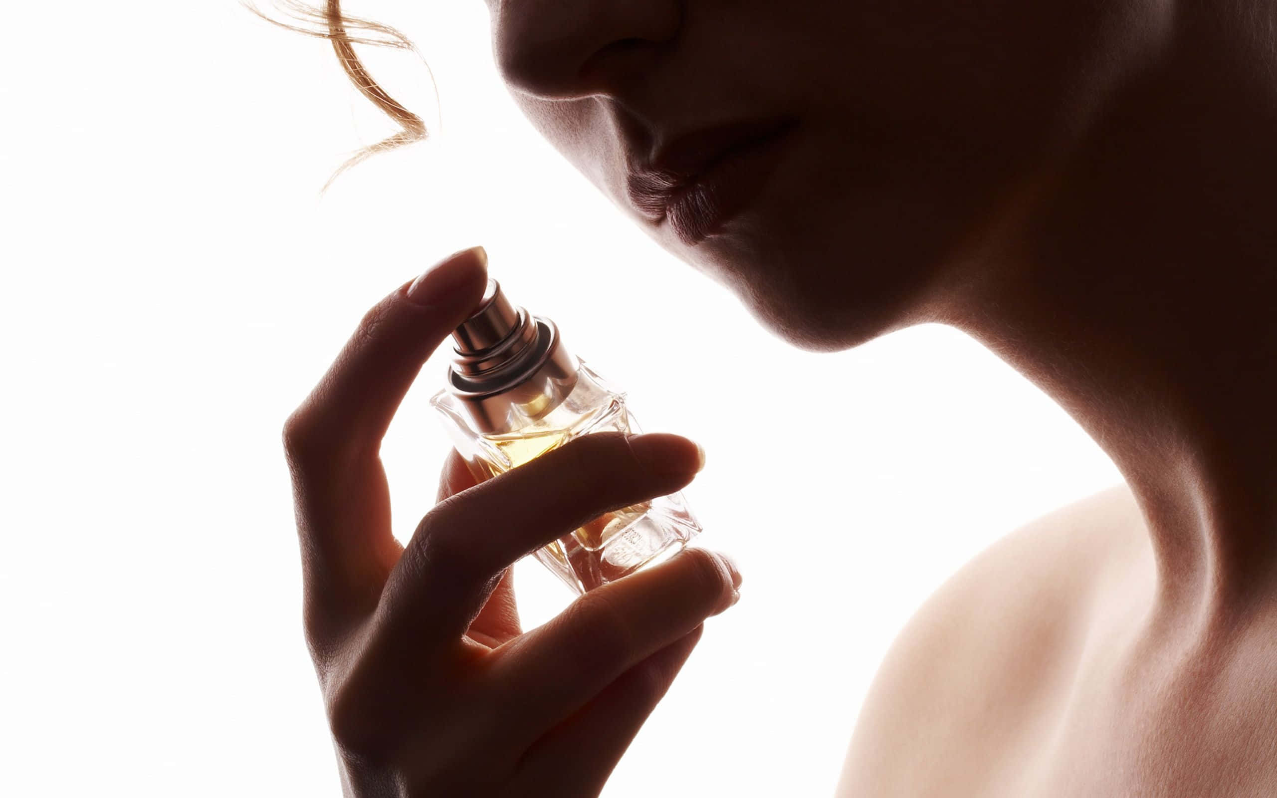Fragrance, perfume bottle, silhouette, 2K Desktop Wallpaper