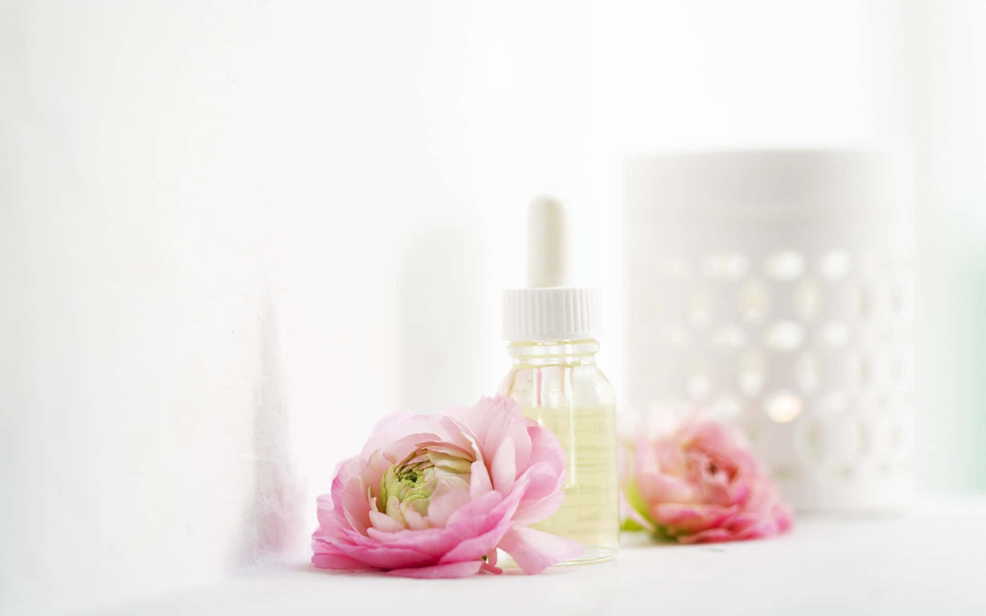 pink ranunculus, glass dropper bottle, essential oil, Full HD Desktop Wallpaper