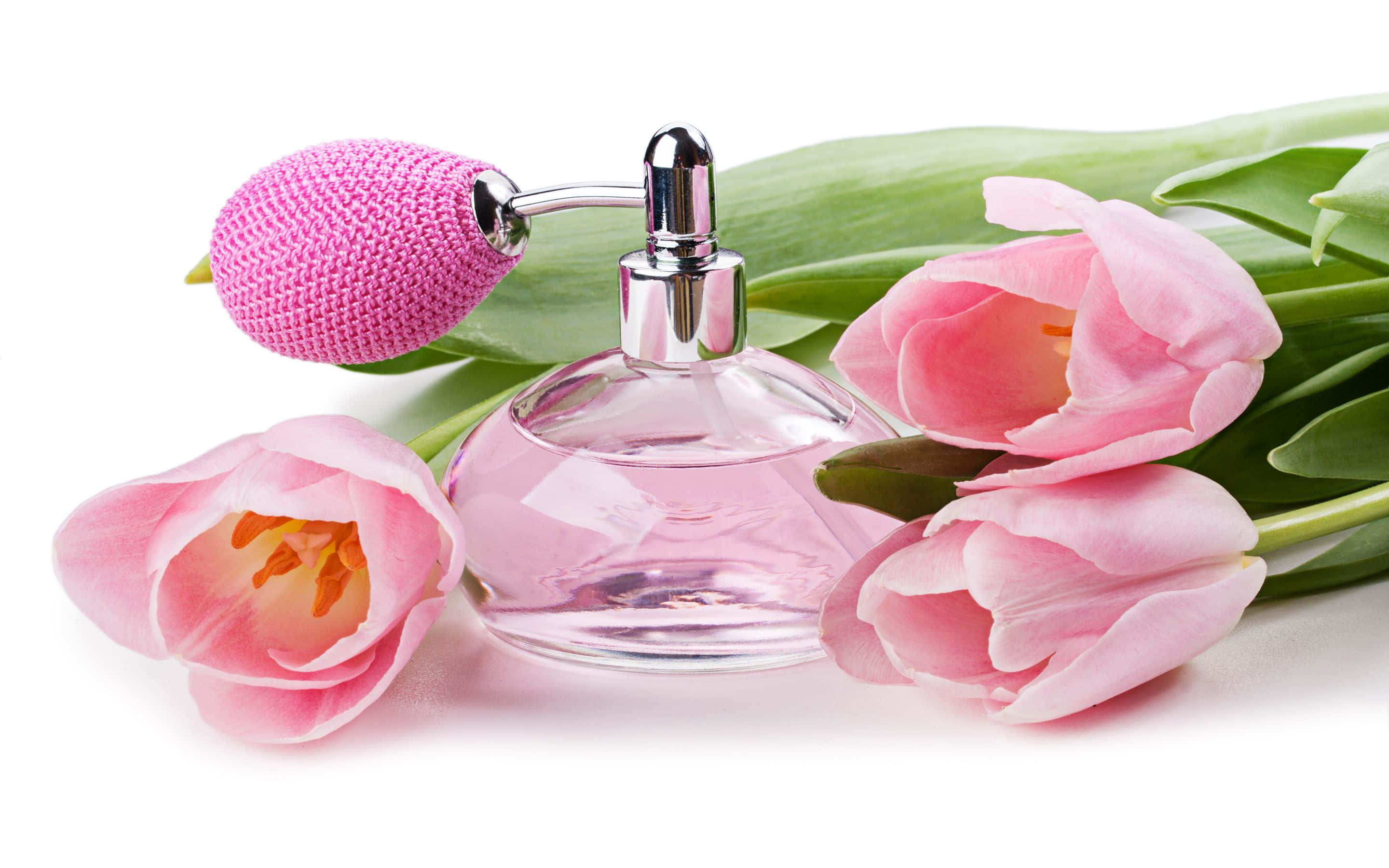 gold bottle, pink knitted cap, pink tulips, 2K Desktop Wallpaper