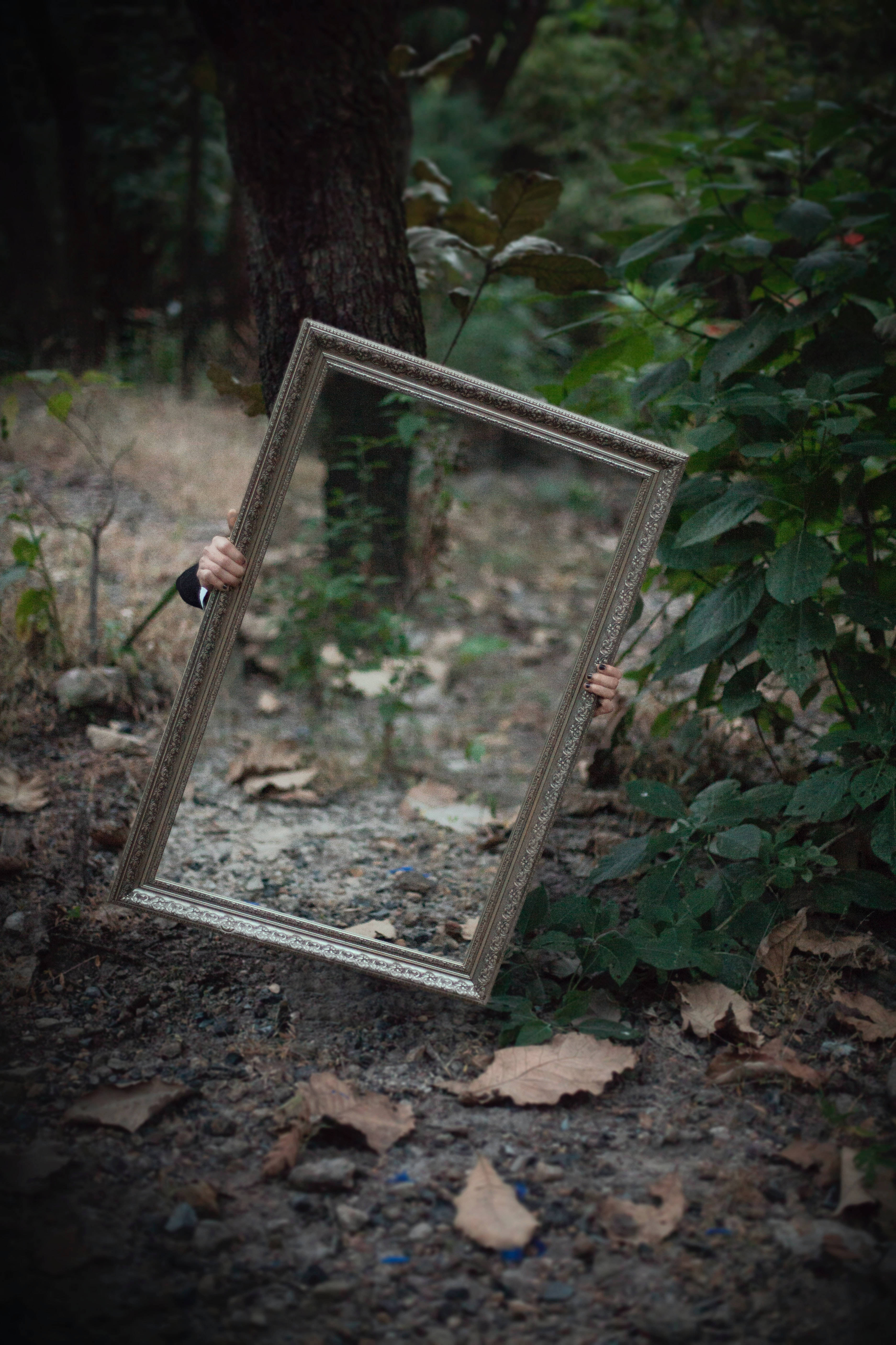 forest, rectangular wooden frame mirror, ornate silver mirror, 5K Phone Wallpaper