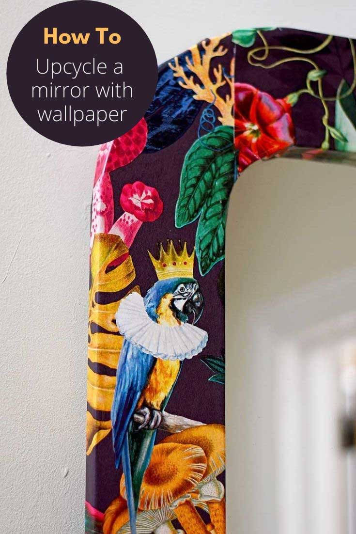 fabric mirror frame, tropical wallpaper, blue macaw, SD Phone Wallpaper