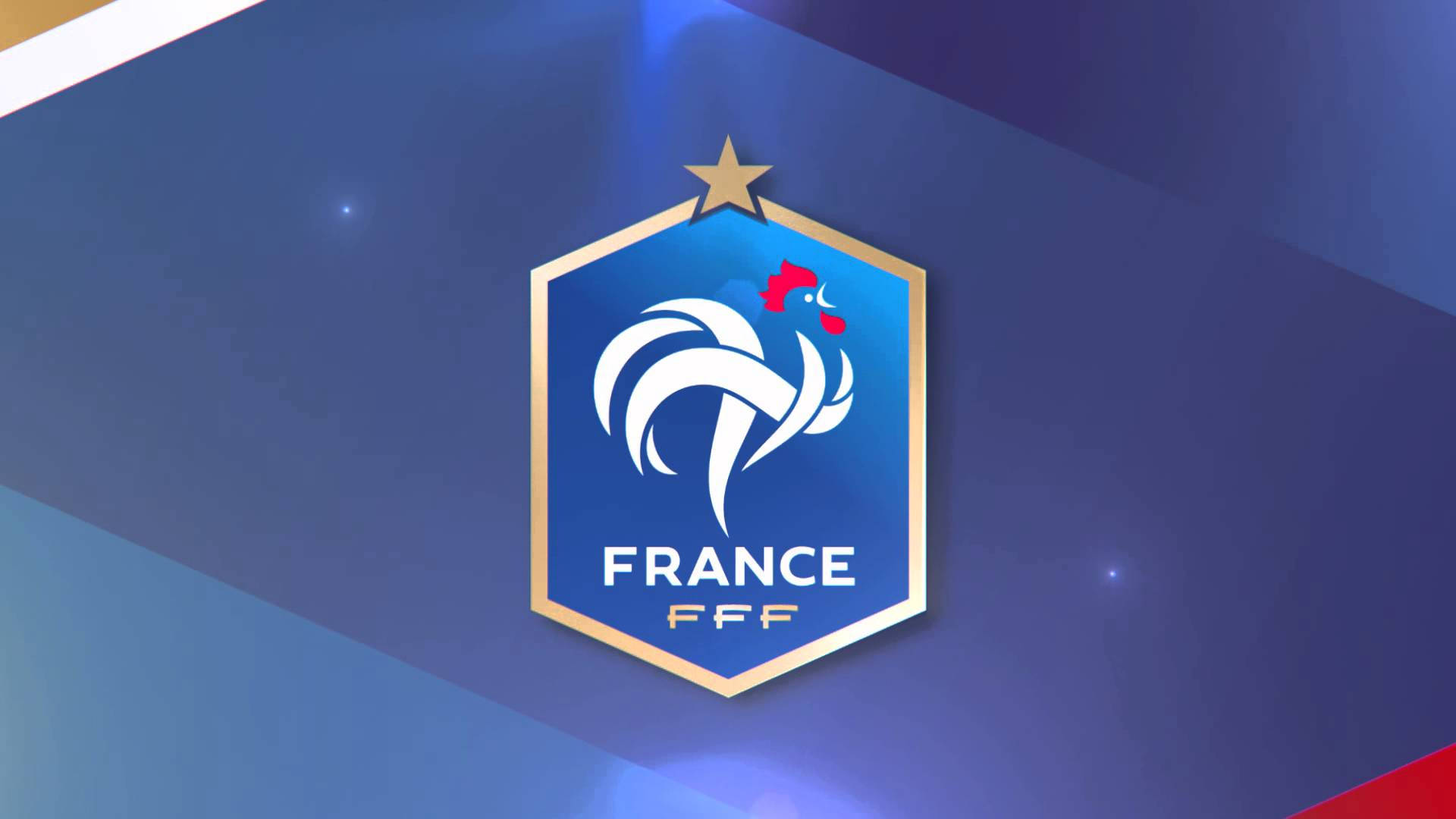 France National Football Team, white rooster, blue shield, Full HD Desktop Wallpaper