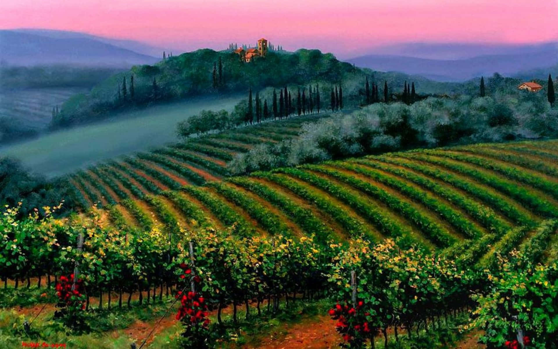 France, vineyard terraces, pink twilight sky, Full HD Desktop Wallpaper