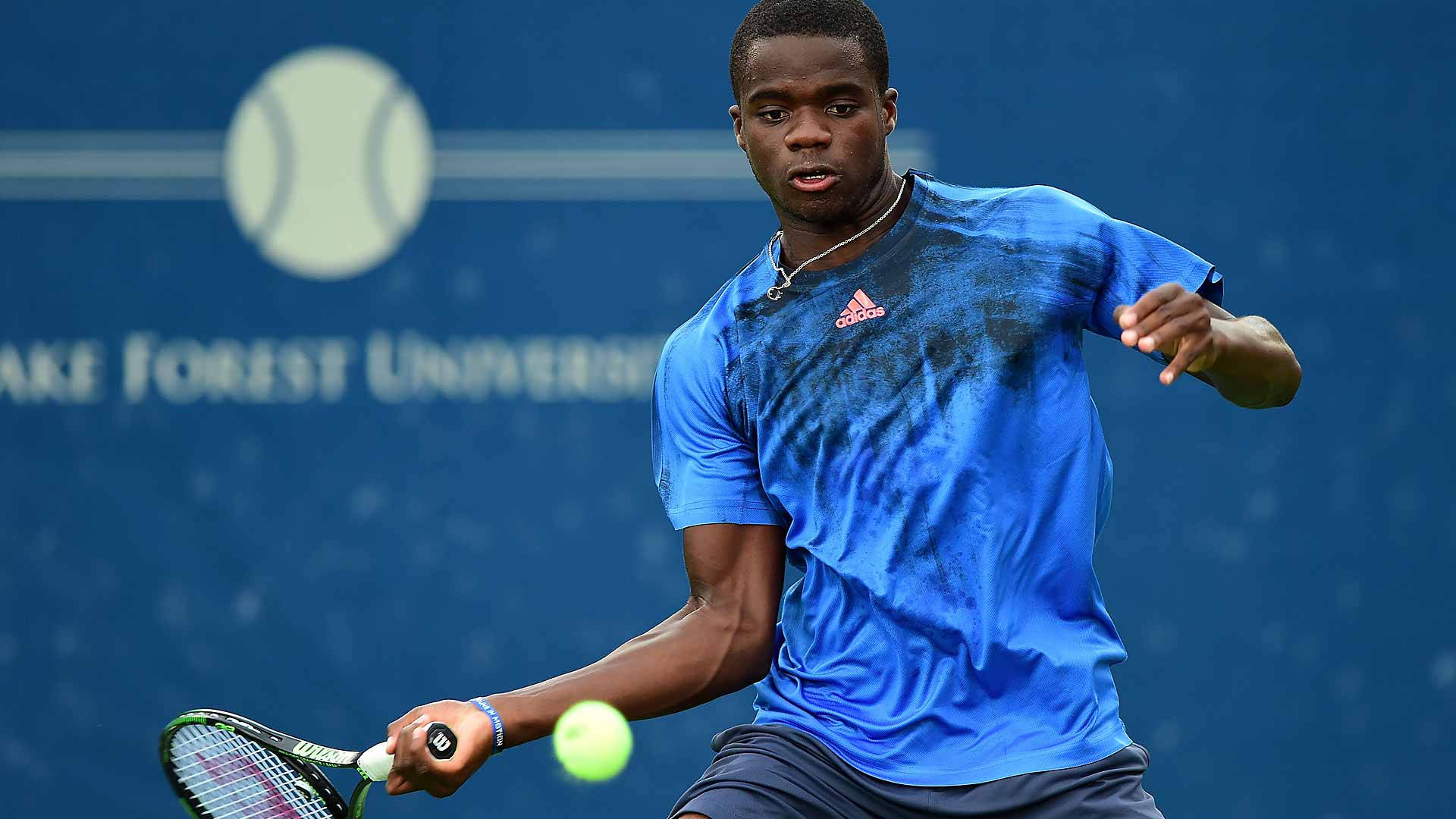 Frances Tiafoe, blue shirt, bright yellow tennis ball, Full HD Desktop Wallpaper