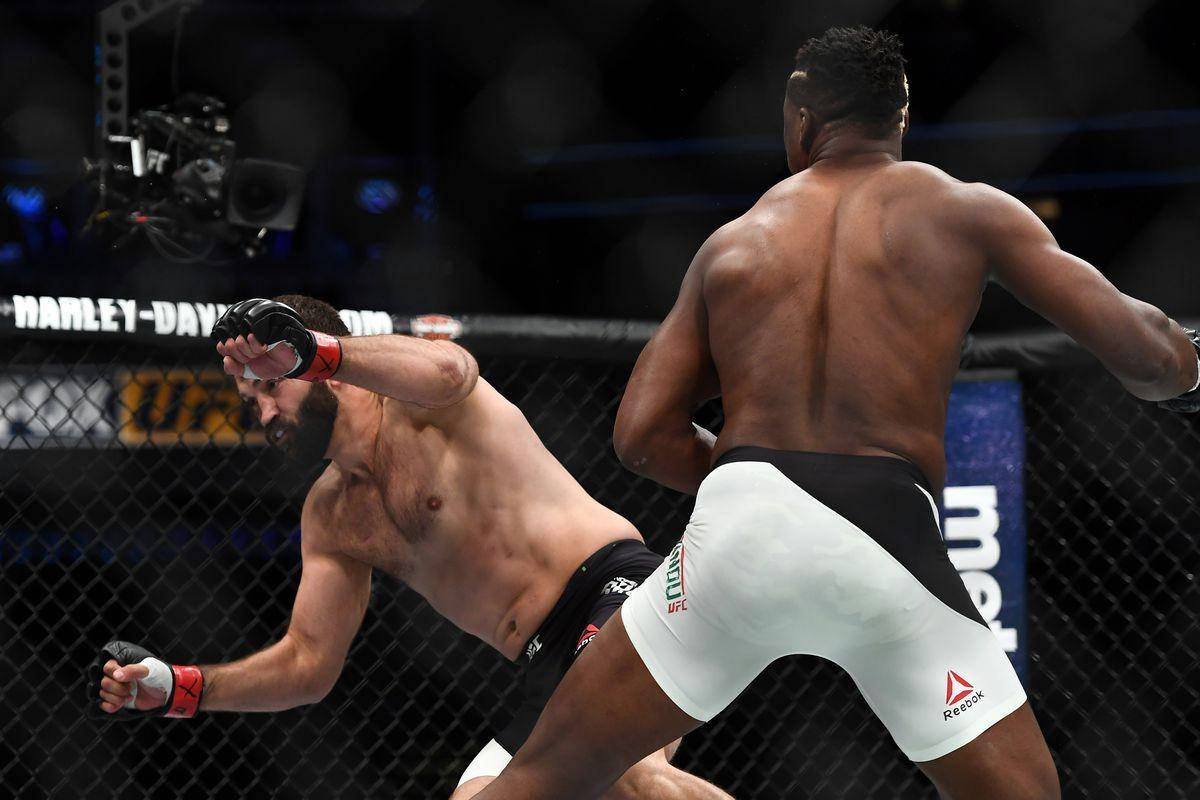 Francis Ngannou, MMA fighters, cage match, SD Desktop Wallpaper