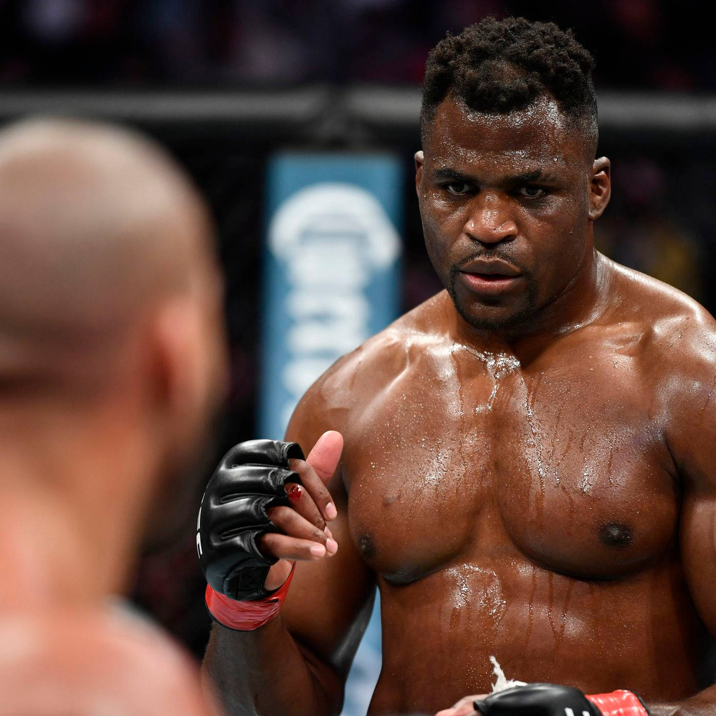 Francis Ngannou, cage, mixed martial arts match, HD Desktop Wallpaper