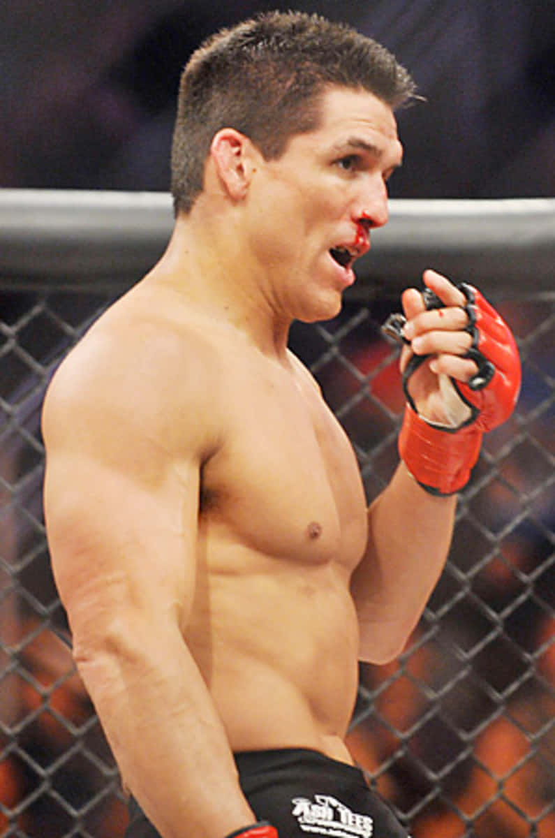 Frank Shamrock, cage, mixed martial arts match, SD Phone Wallpaper