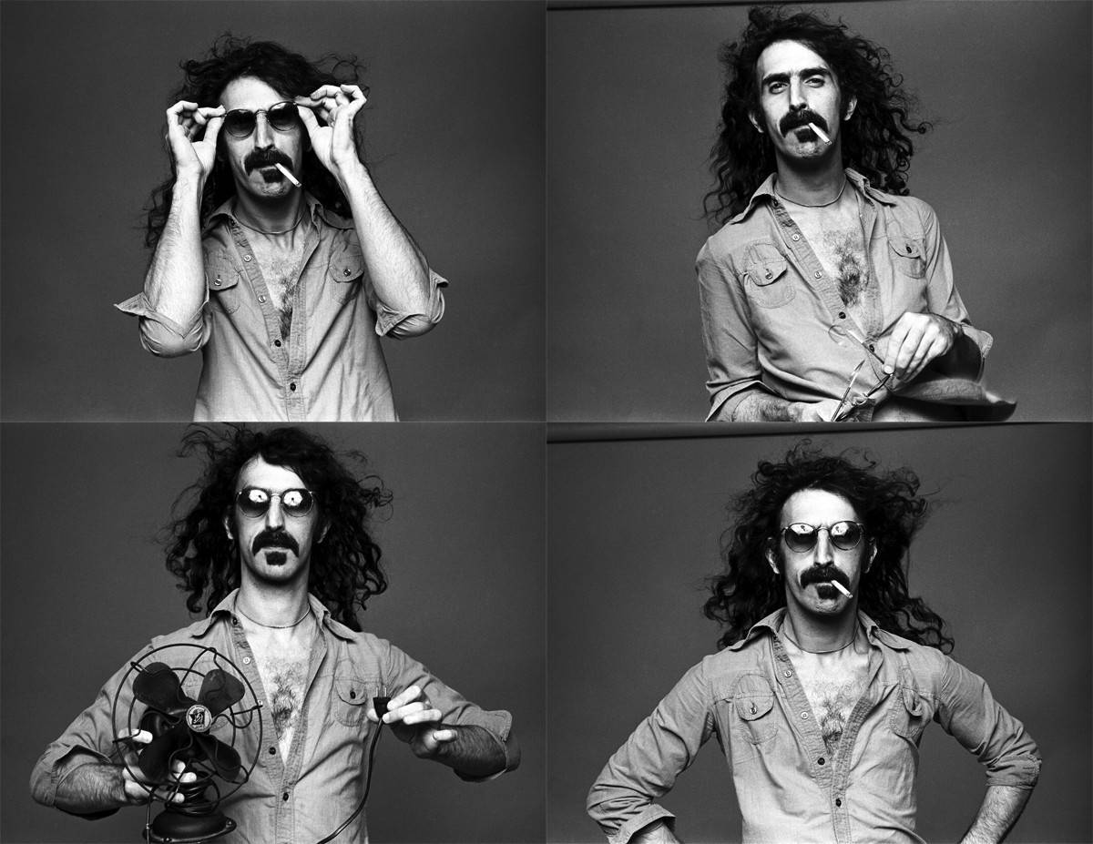 Frank Zappa, black and white portrait, wild hair, SD Desktop Wallpaper