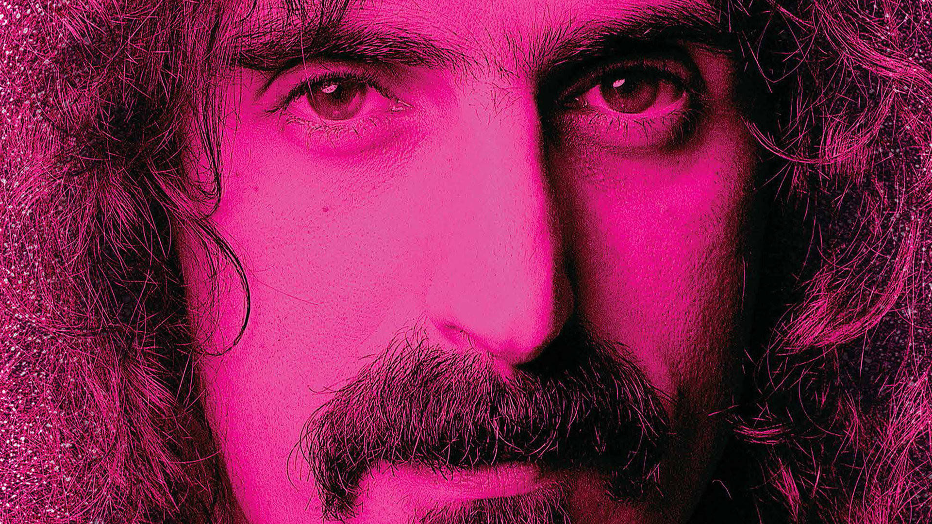 Frank Zappa, pink light, long curly hair, Full HD Desktop Wallpaper