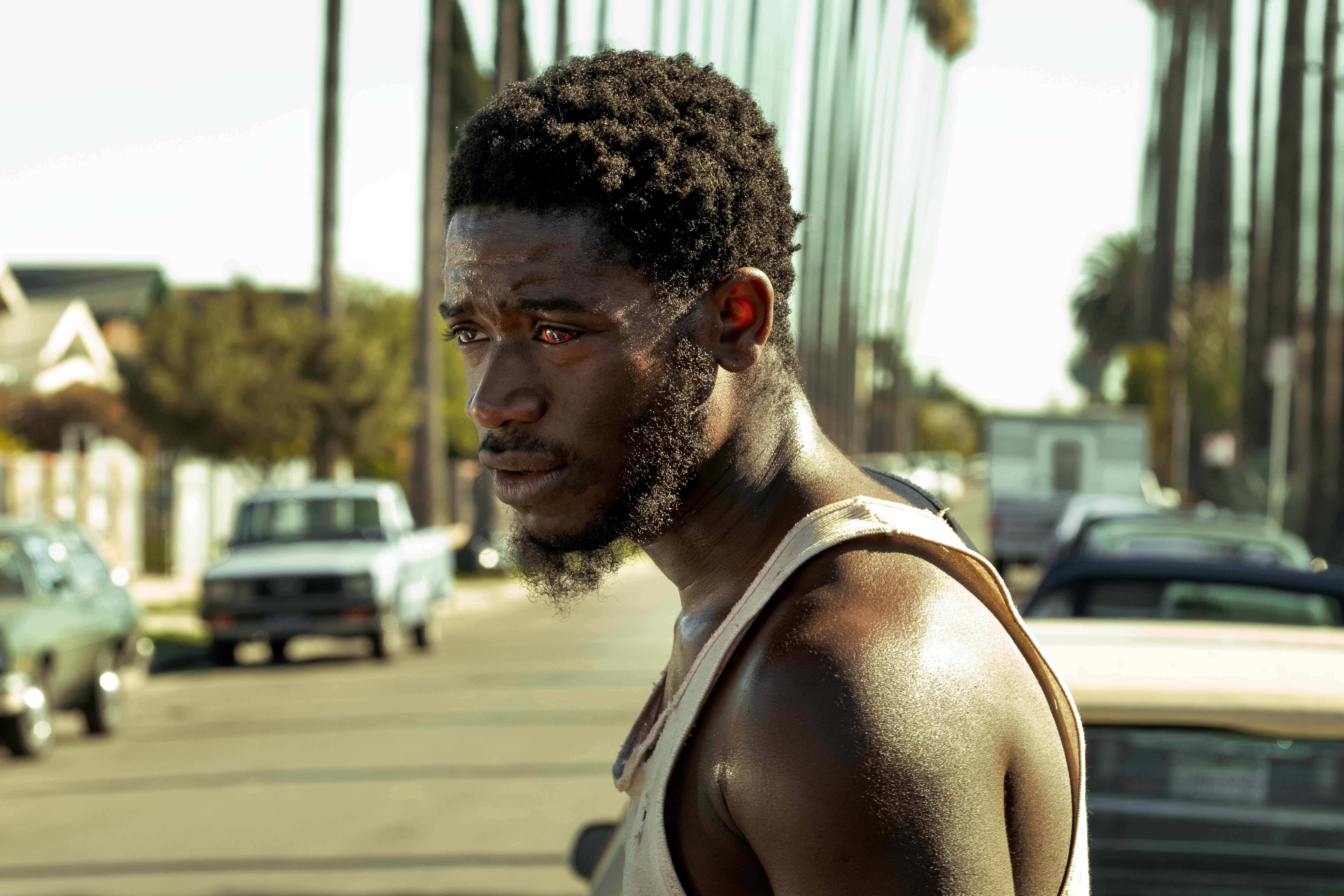Franklin Saint, sunlit street, palm trees, 5K Desktop Wallpaper