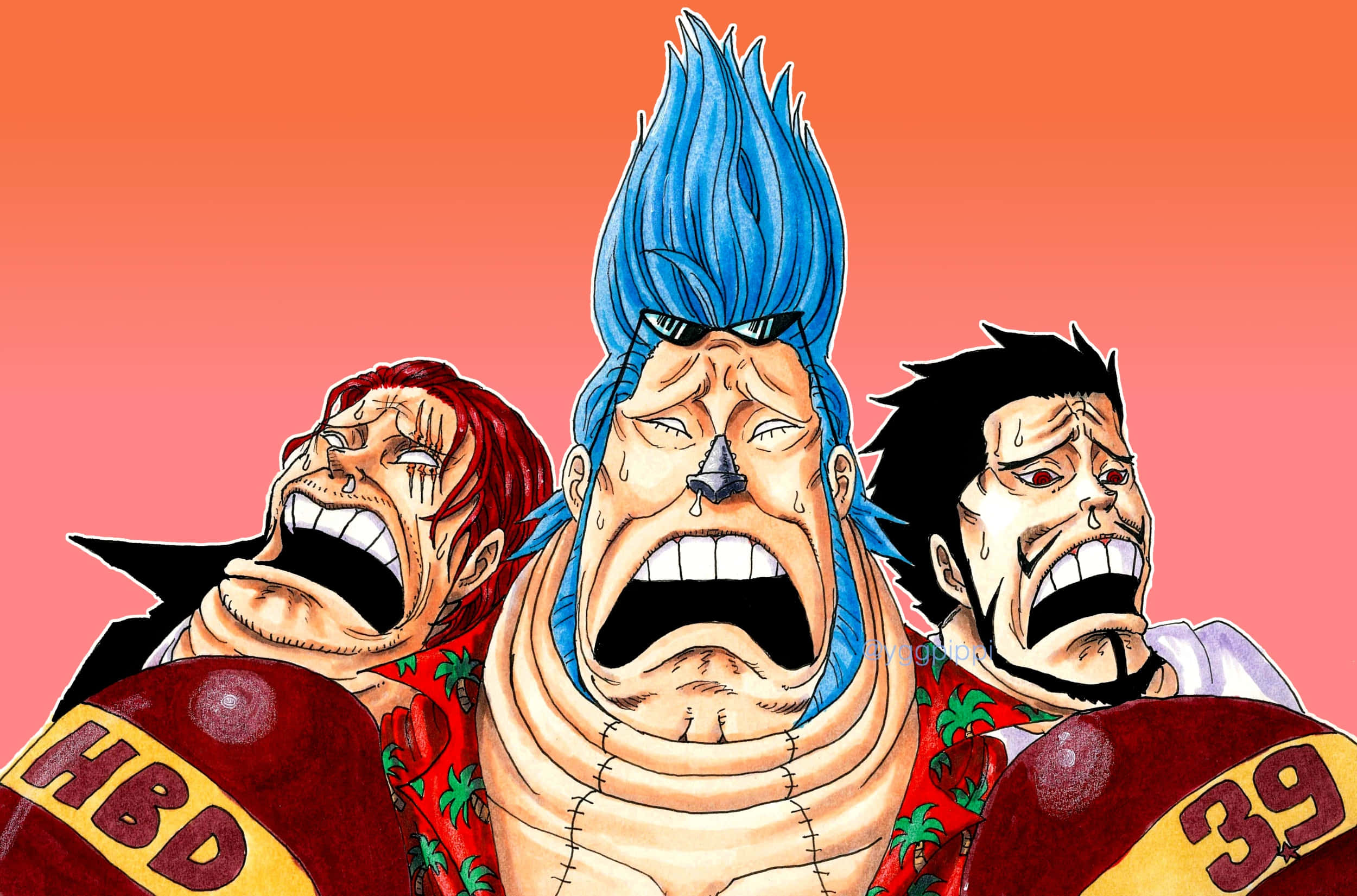 Franky, anime characters, exaggerated angry expressions, Full HD Desktop Wallpaper
