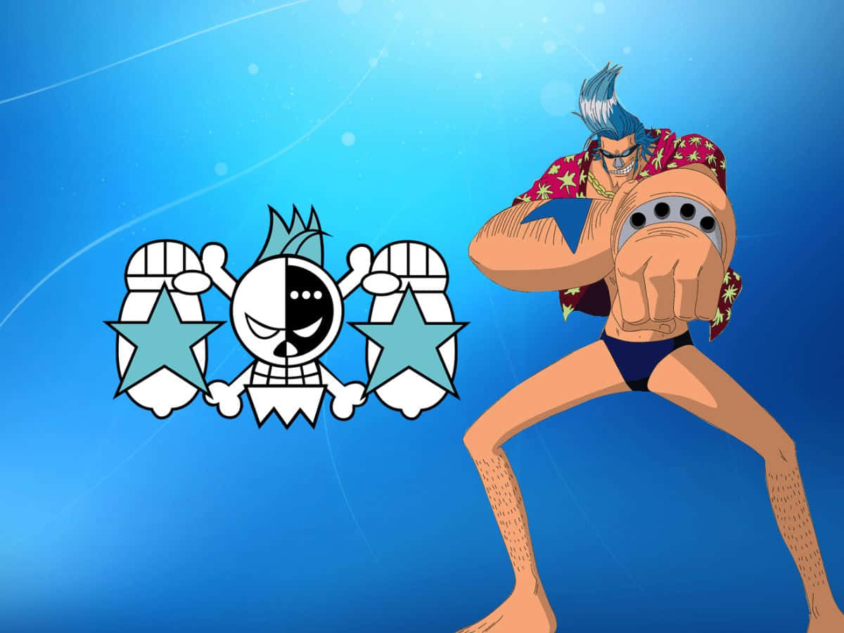 Franky, star-patterned shirt, skull and crossbones logo, SD Desktop Wallpaper