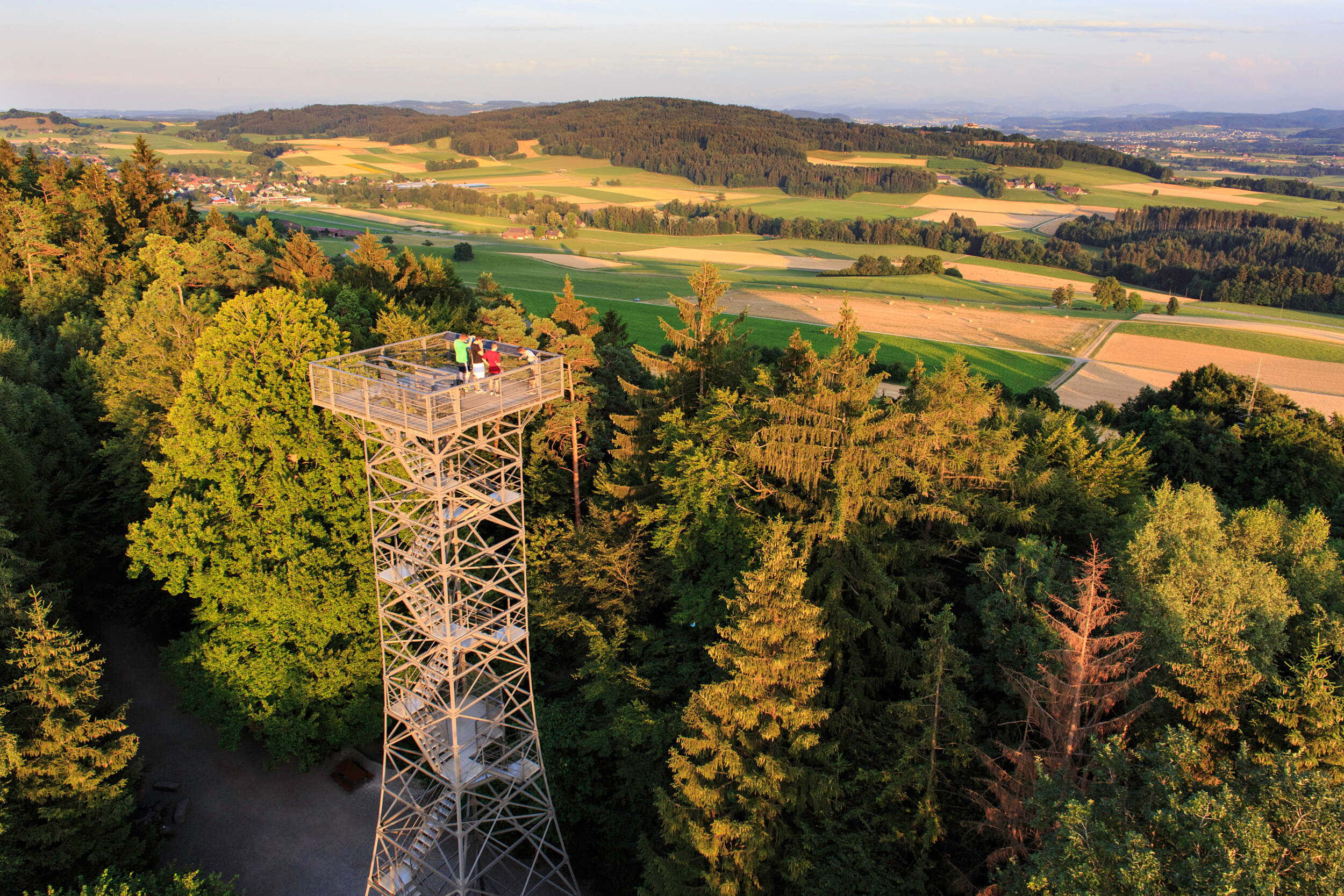 Frauenfeld, metal observation tower, dense green forest, Full HD Desktop Wallpaper