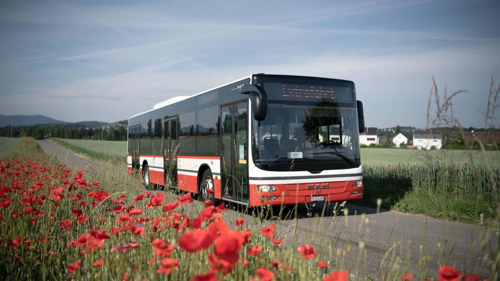 Frauenfeld, red and white city bus, rural road, HD Desktop Wallpaper