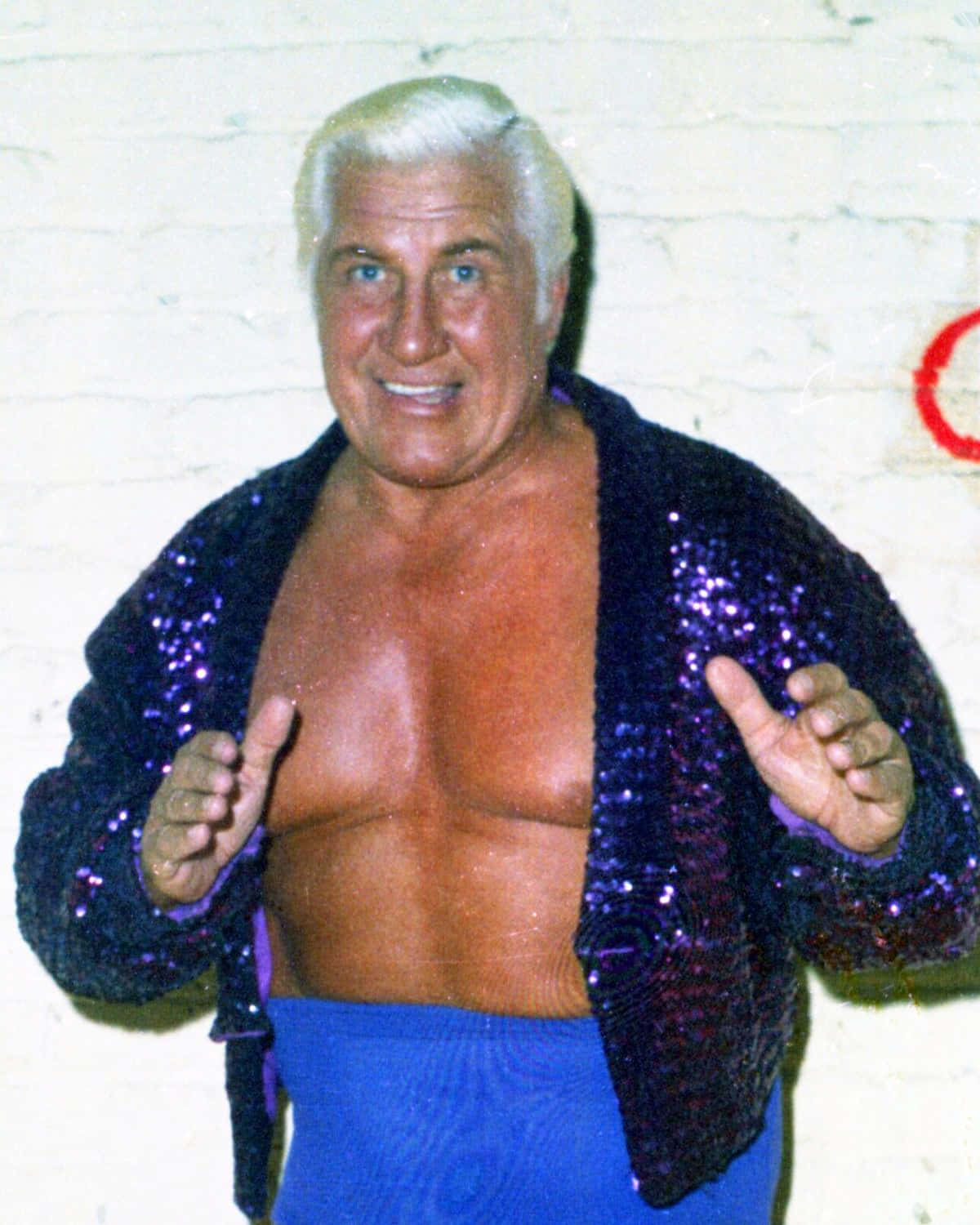 Freddie Blassie, sparkly purple jacket, white brick wall, HD Phone Wallpaper