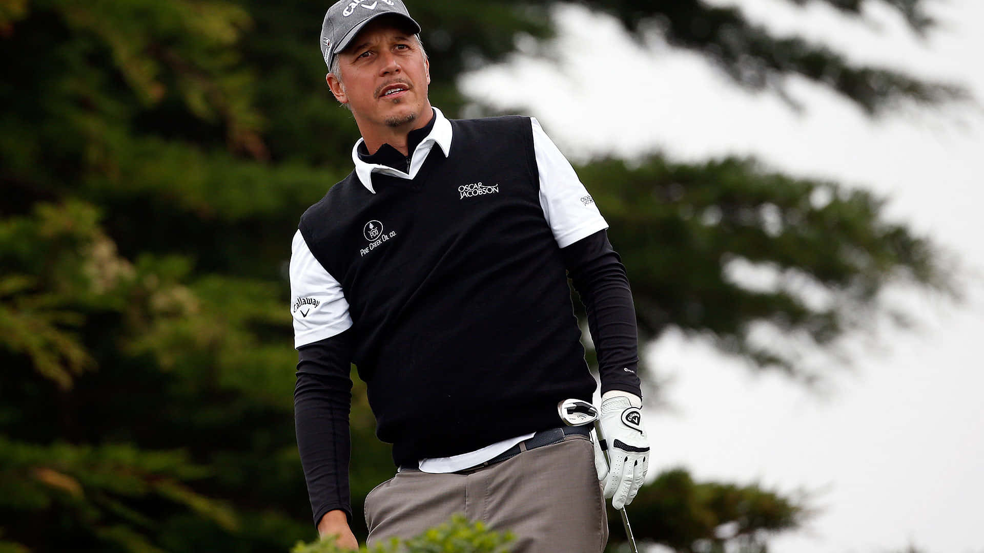 Freddie Jacobson, black and white vest, golf course, Full HD Desktop Wallpaper