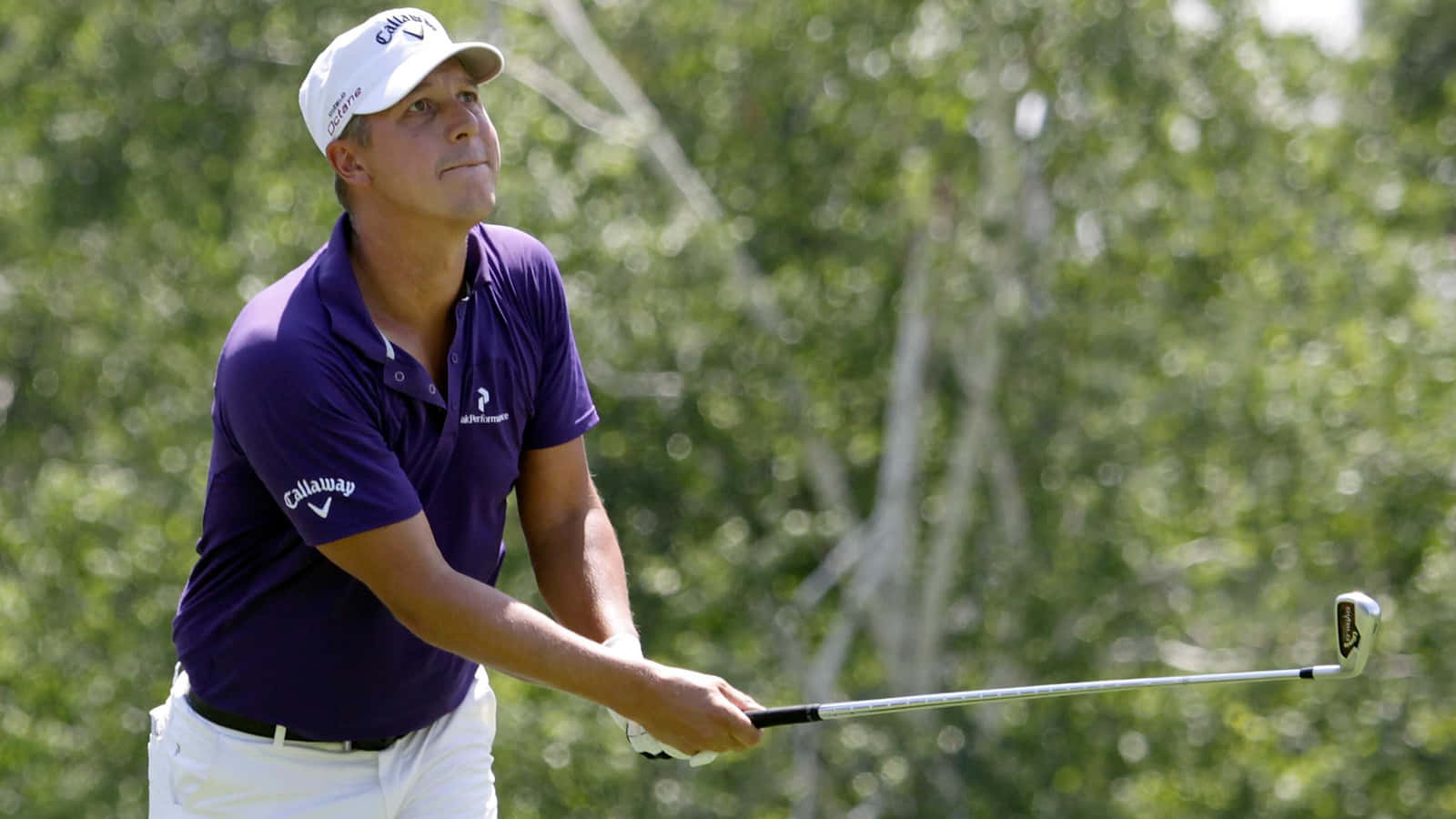 Freddie Jacobson, golf club, purple shirt, HD Desktop Wallpaper