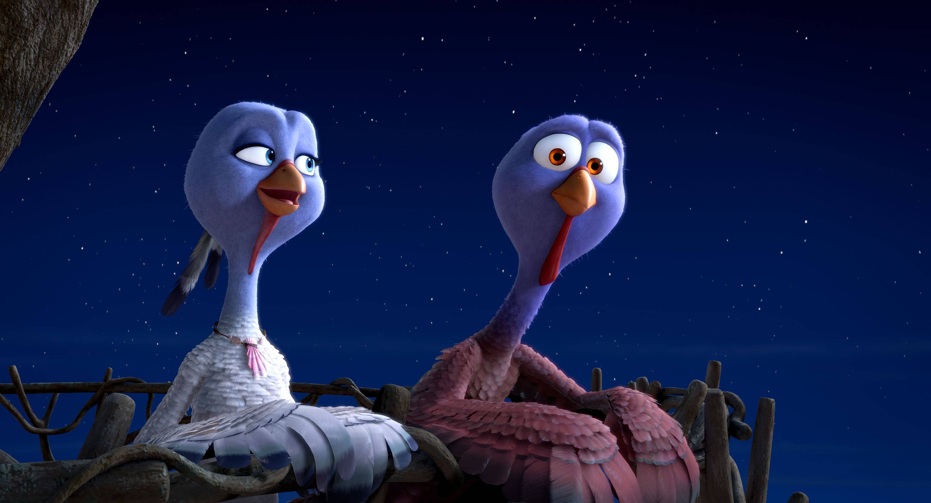 Free Birds, turkeys, wooden fence, 2K Desktop Wallpaper