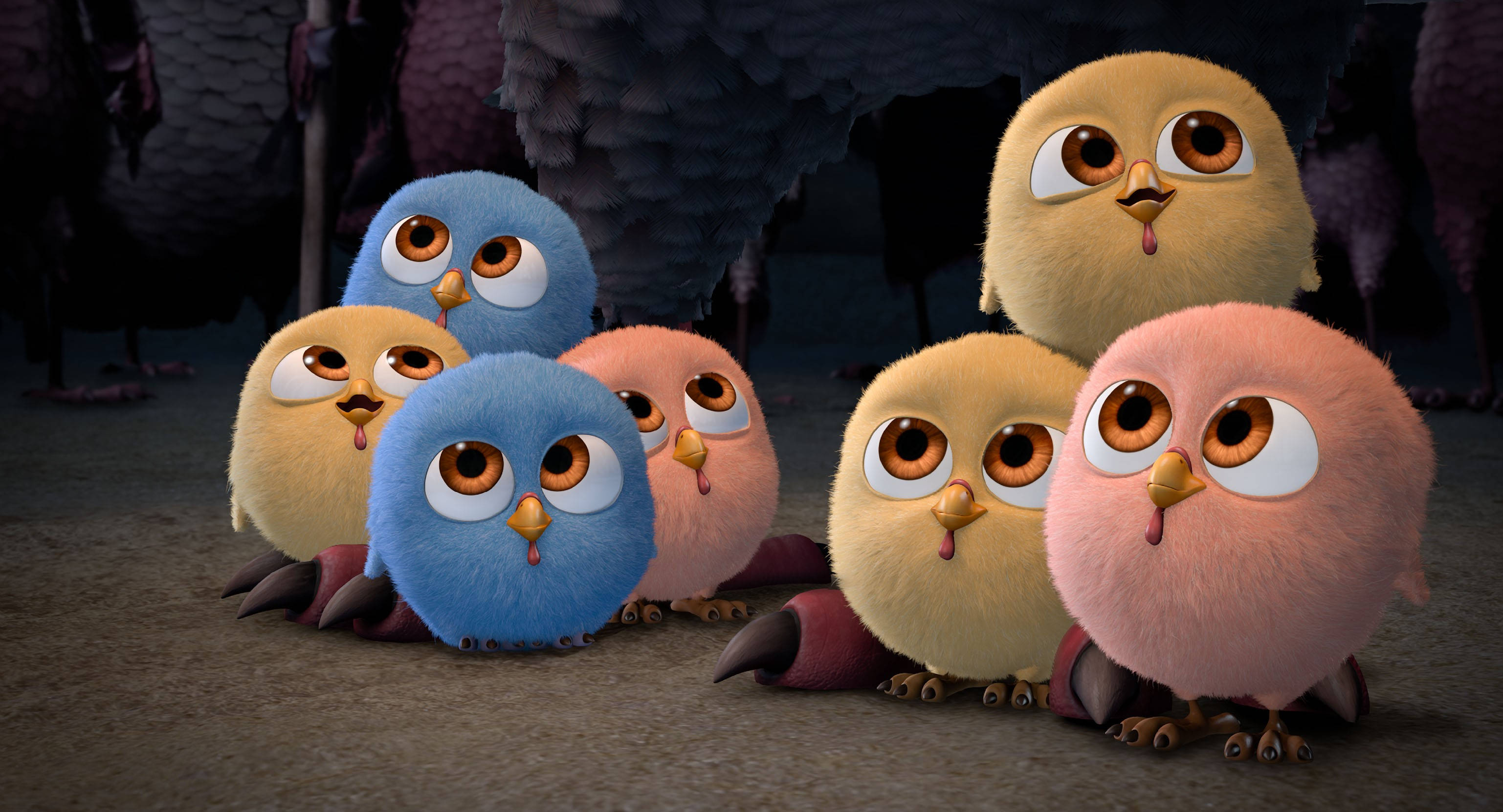 Free Birds, fluffy cartoon chicks, wide eyes, 2K Desktop Wallpaper