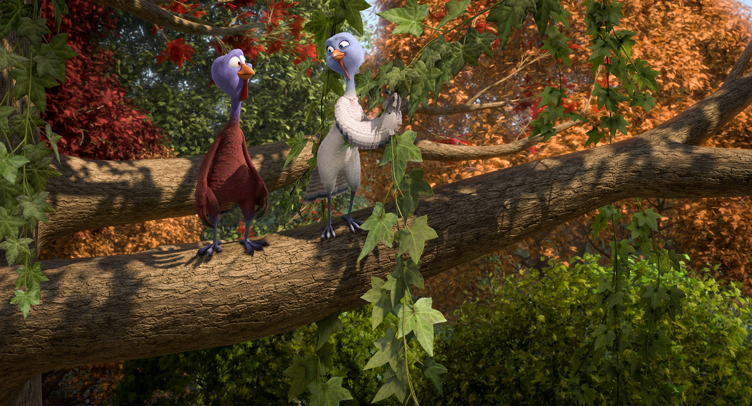 Free Birds, autumn leaves, ivy, 2K Desktop Wallpaper
