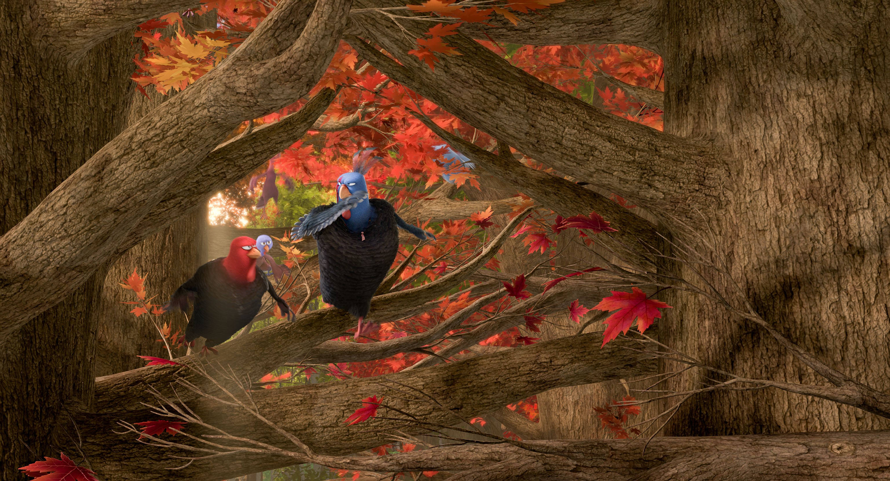 Free Birds, turkeys, tree branches, 2K Desktop Wallpaper