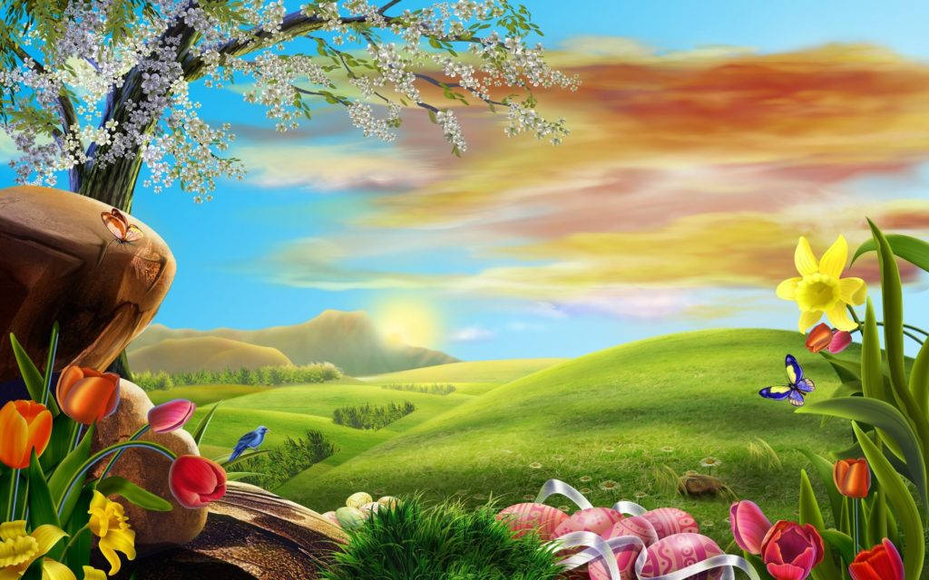 spring meadow, blooming tulips, butterflies, SD Desktop Wallpaper
