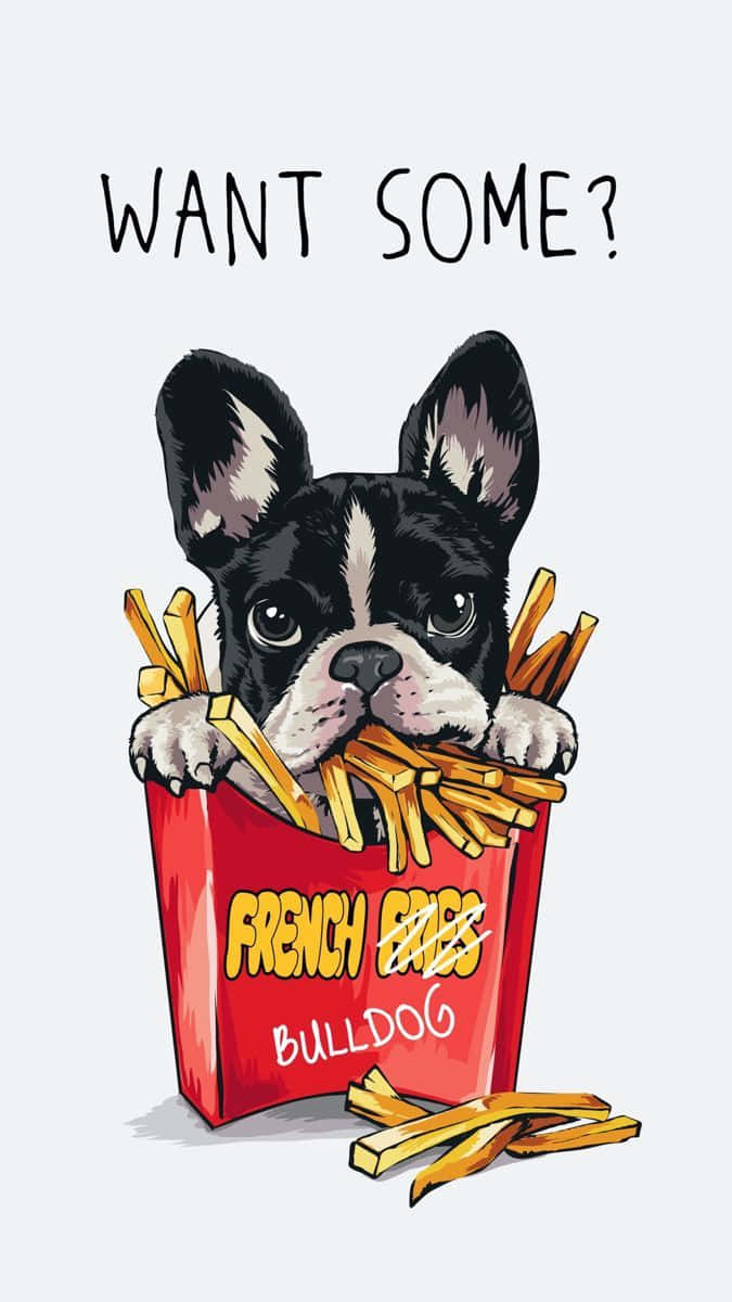 French bulldog, red fries box, WANT SOME?, SD Phone Wallpaper