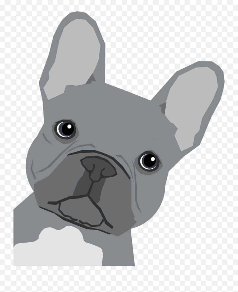 French bulldog, gray, large ears, SD Phone Wallpaper