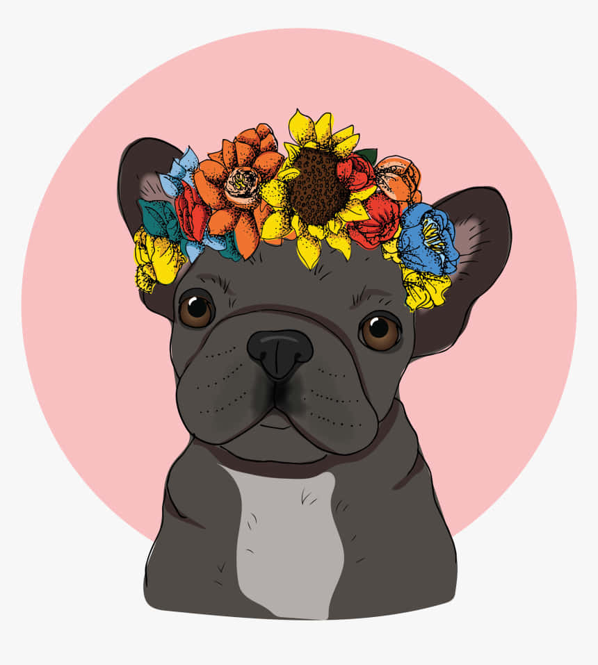 French bulldog, colorful floral crown, soft pink circular background, SD Phone Wallpaper