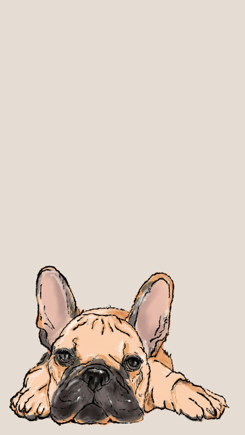 French bulldog, cute French bulldog puppy, big eyes, HD Phone Wallpaper