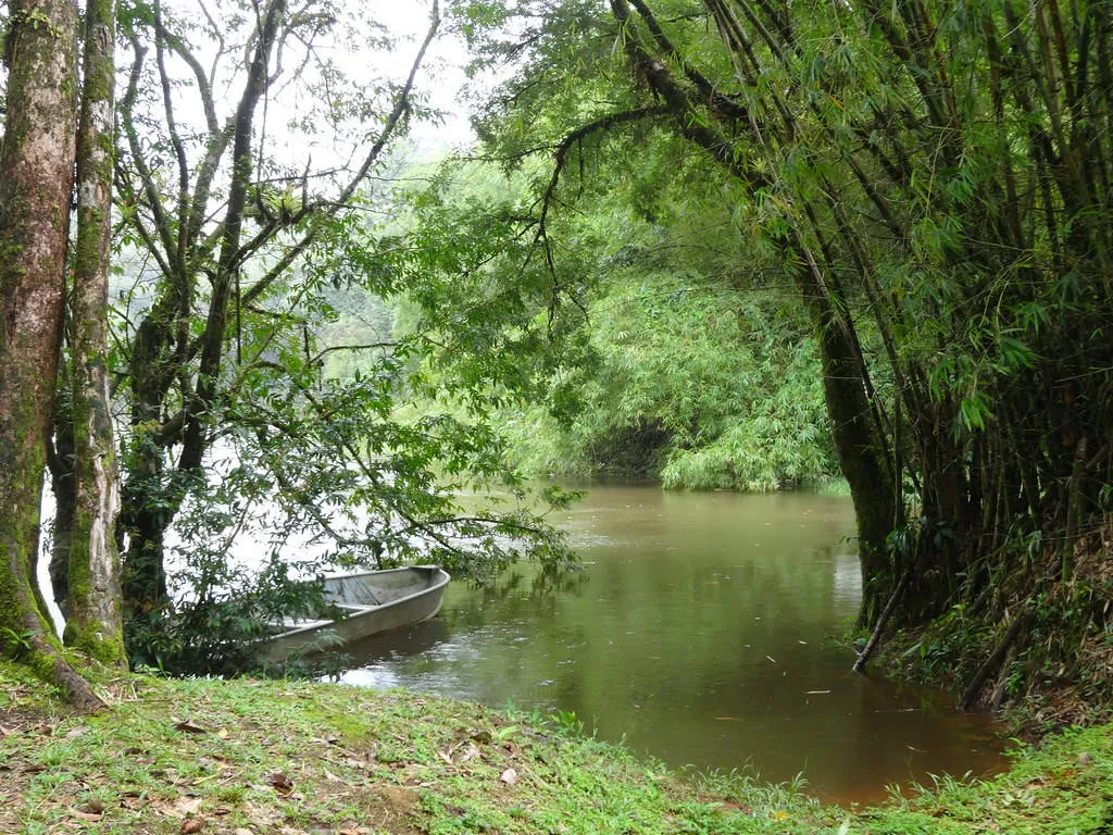 French Guiana