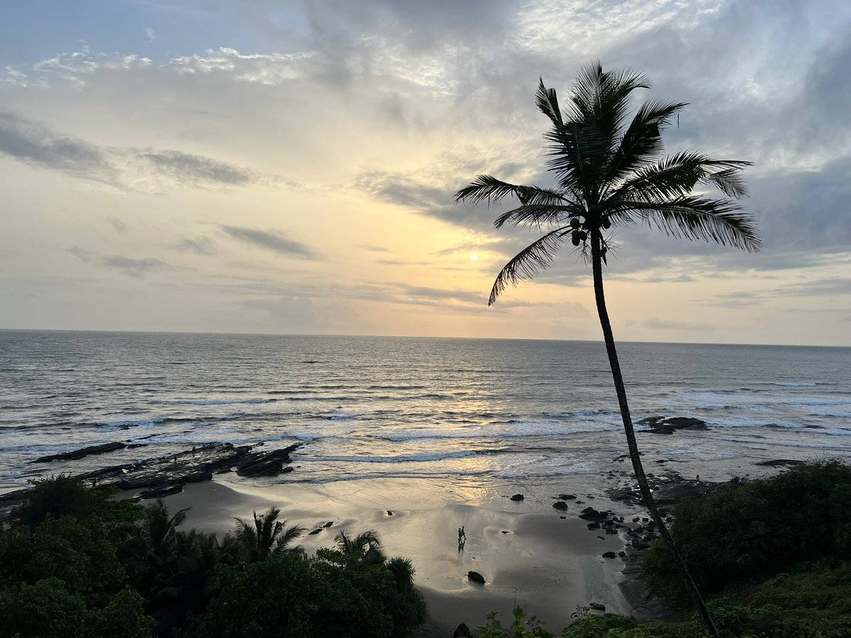 French Guiana, sunset, palm tree, SD Desktop Wallpaper