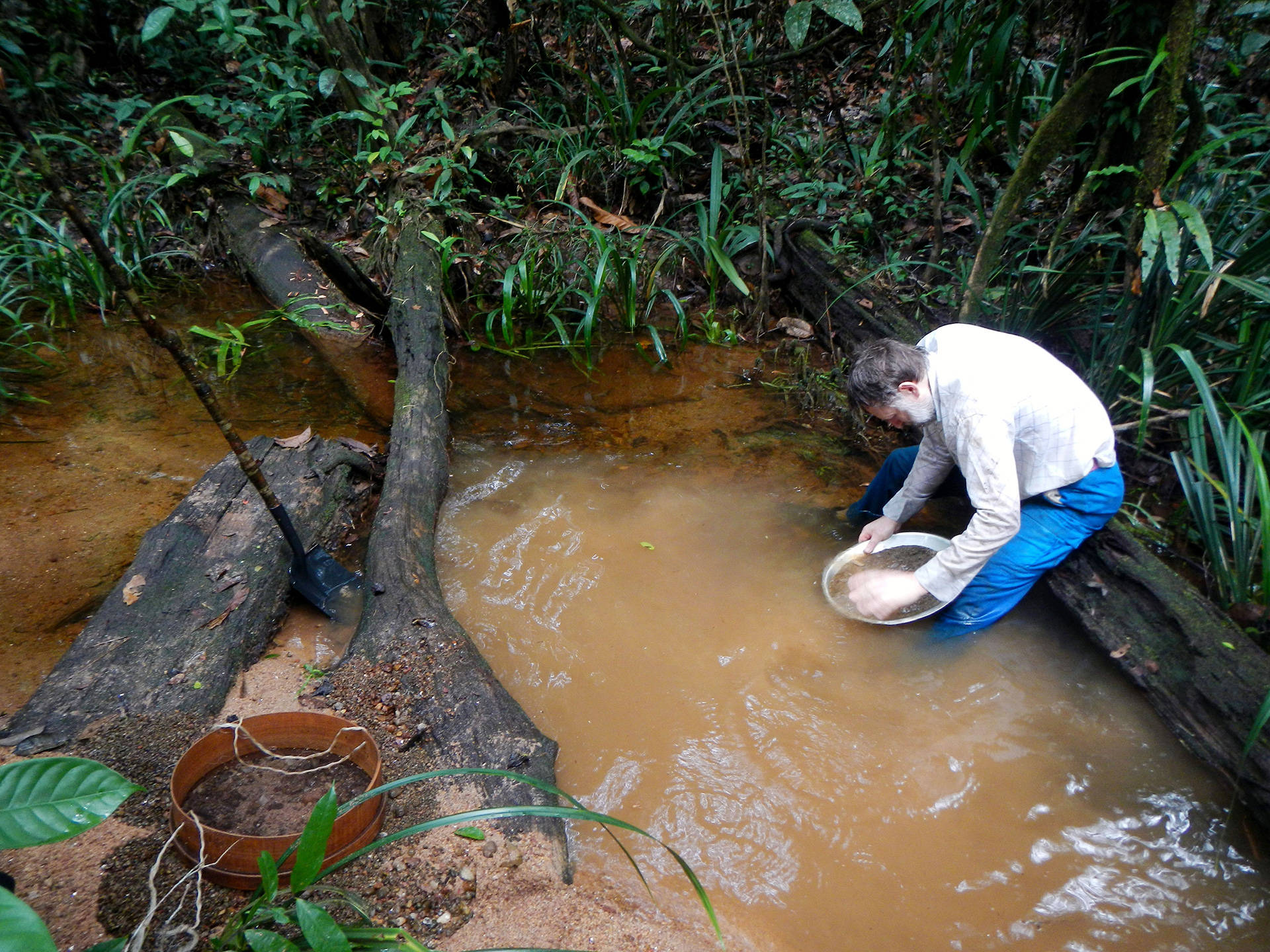 French Guiana, coltan mining, muddy forest stream, Full HD Desktop Wallpaper