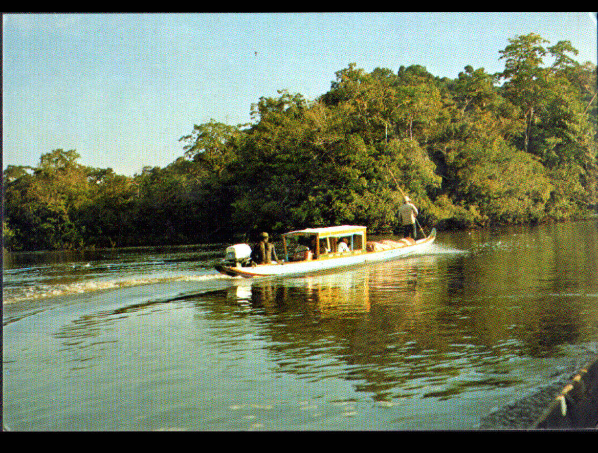French Guiana River, riverboat, calm waters, SD Desktop Wallpaper