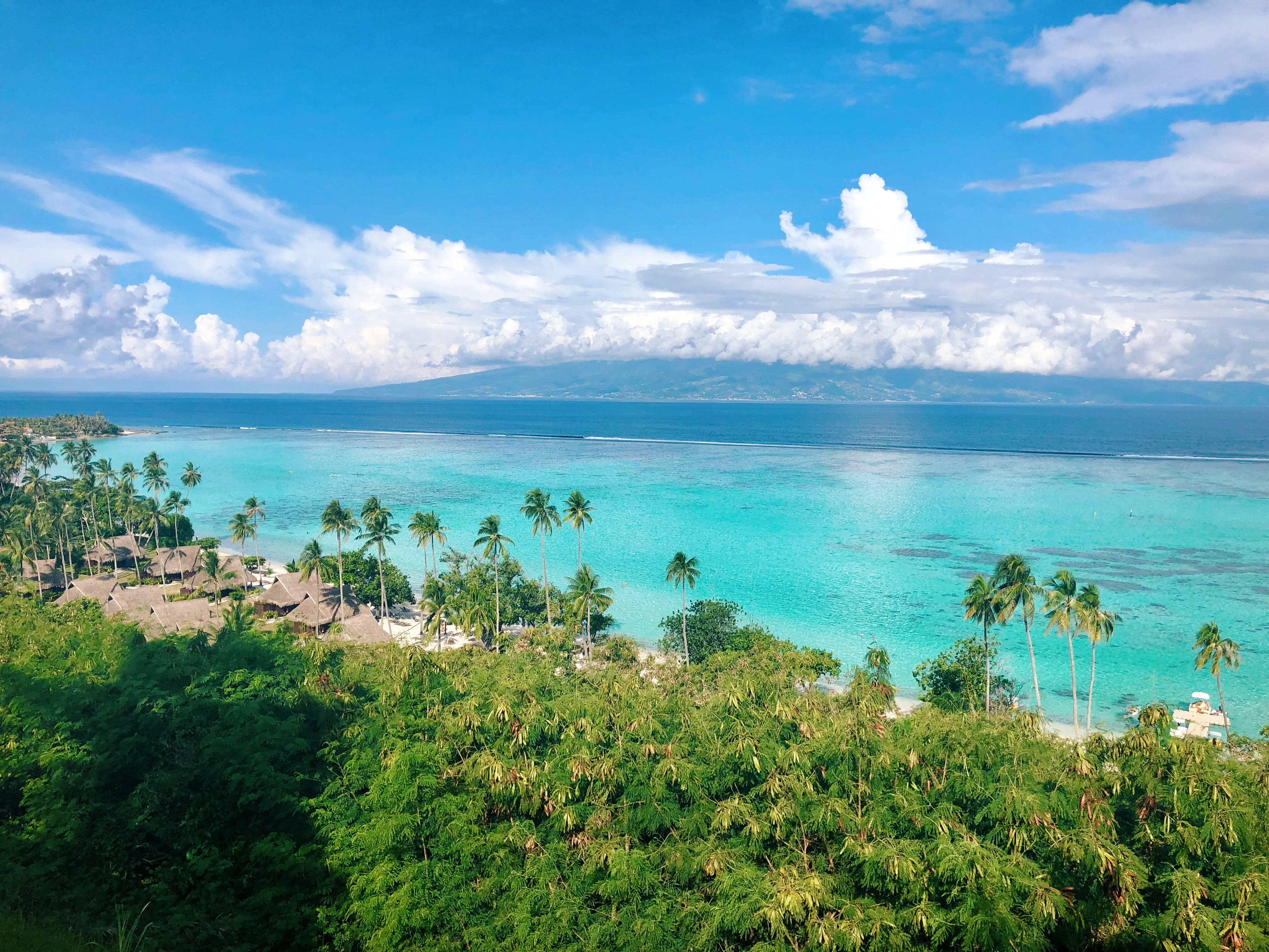 French Polynesia, turquoise lagoon, palm trees, 4K Desktop Wallpaper