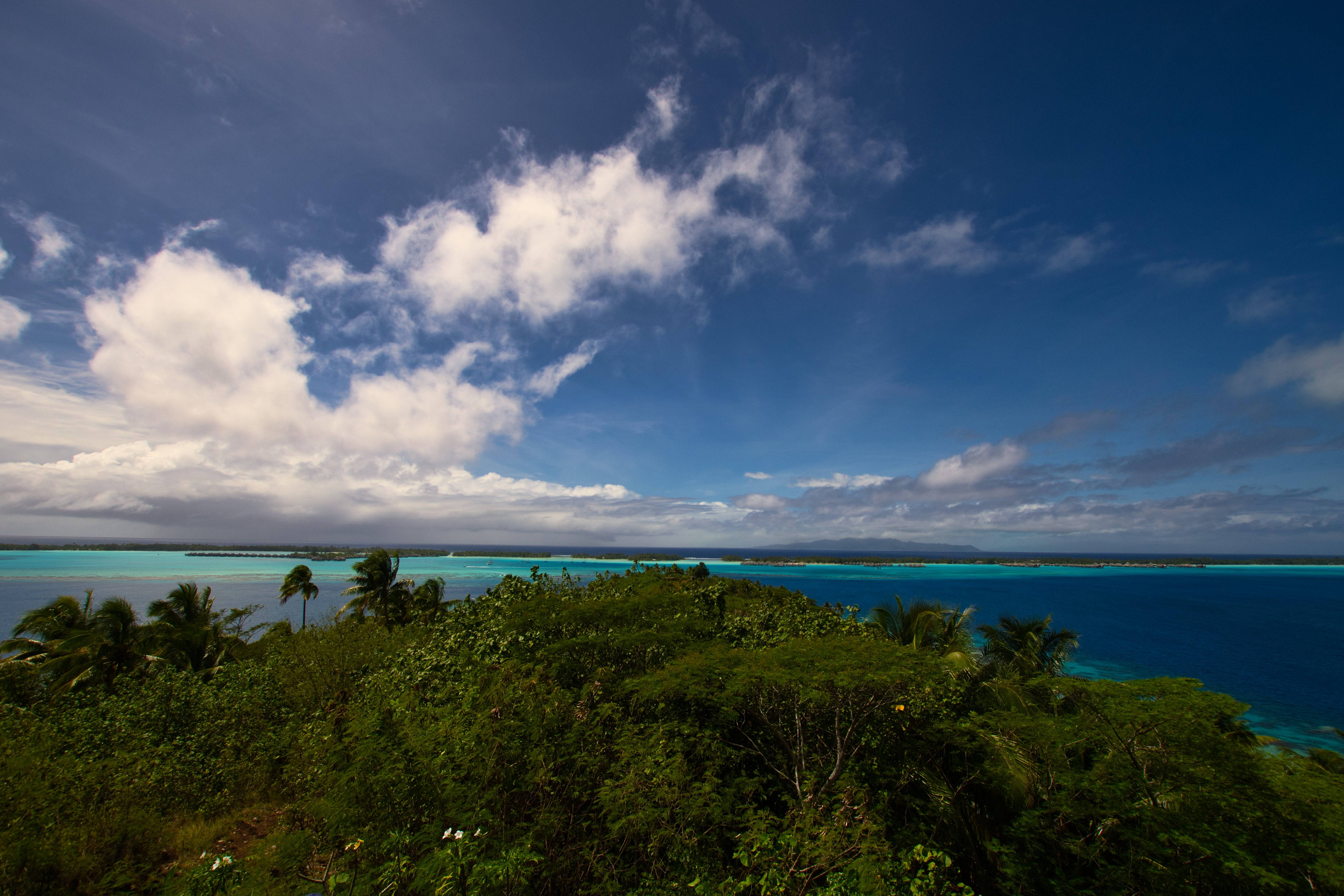 French Polynesia, turquoise lagoon, lush green palms, 5K Desktop Wallpaper