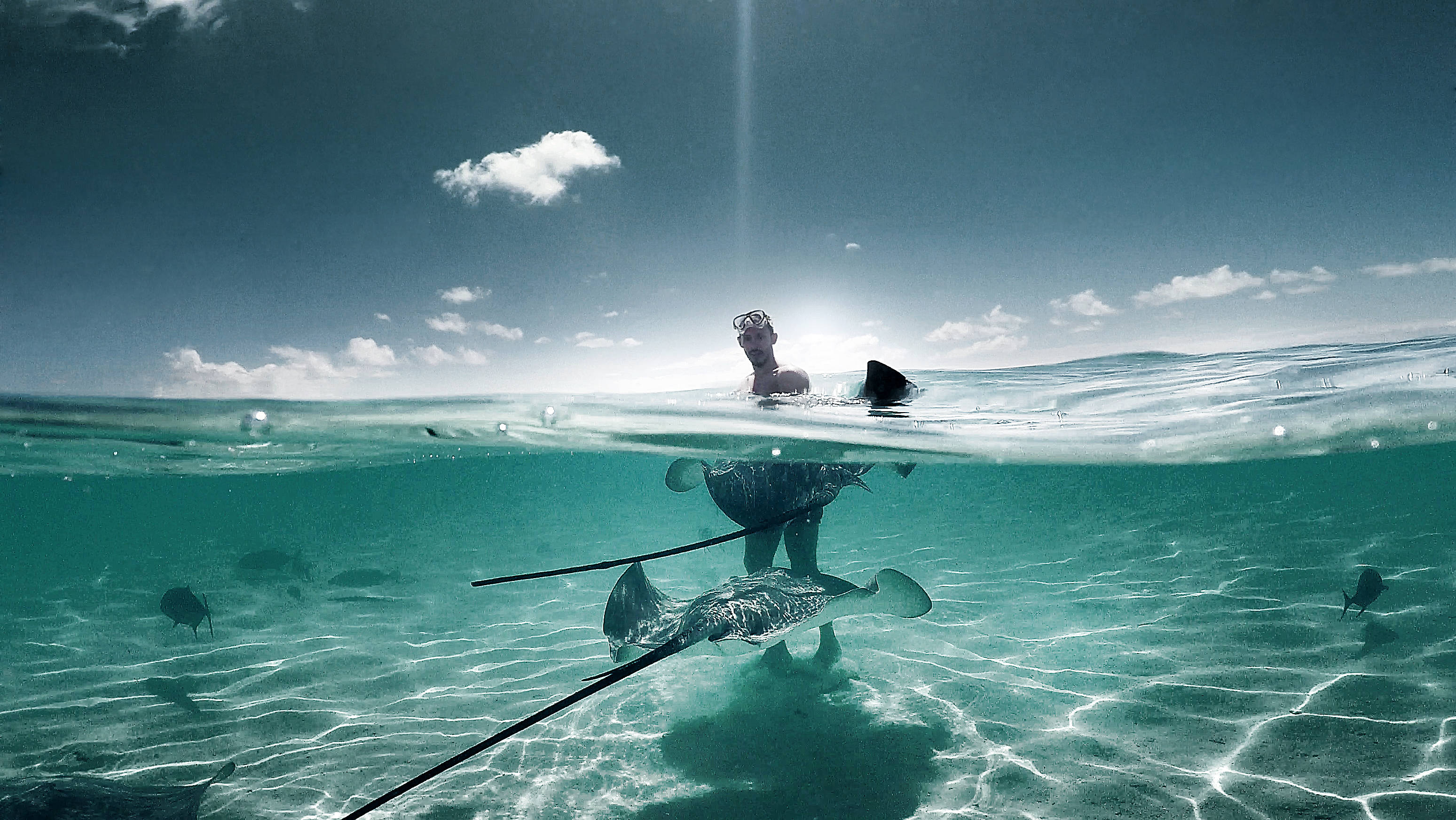French Polynesia, snorkeler, turquoise water, 2K Desktop Wallpaper