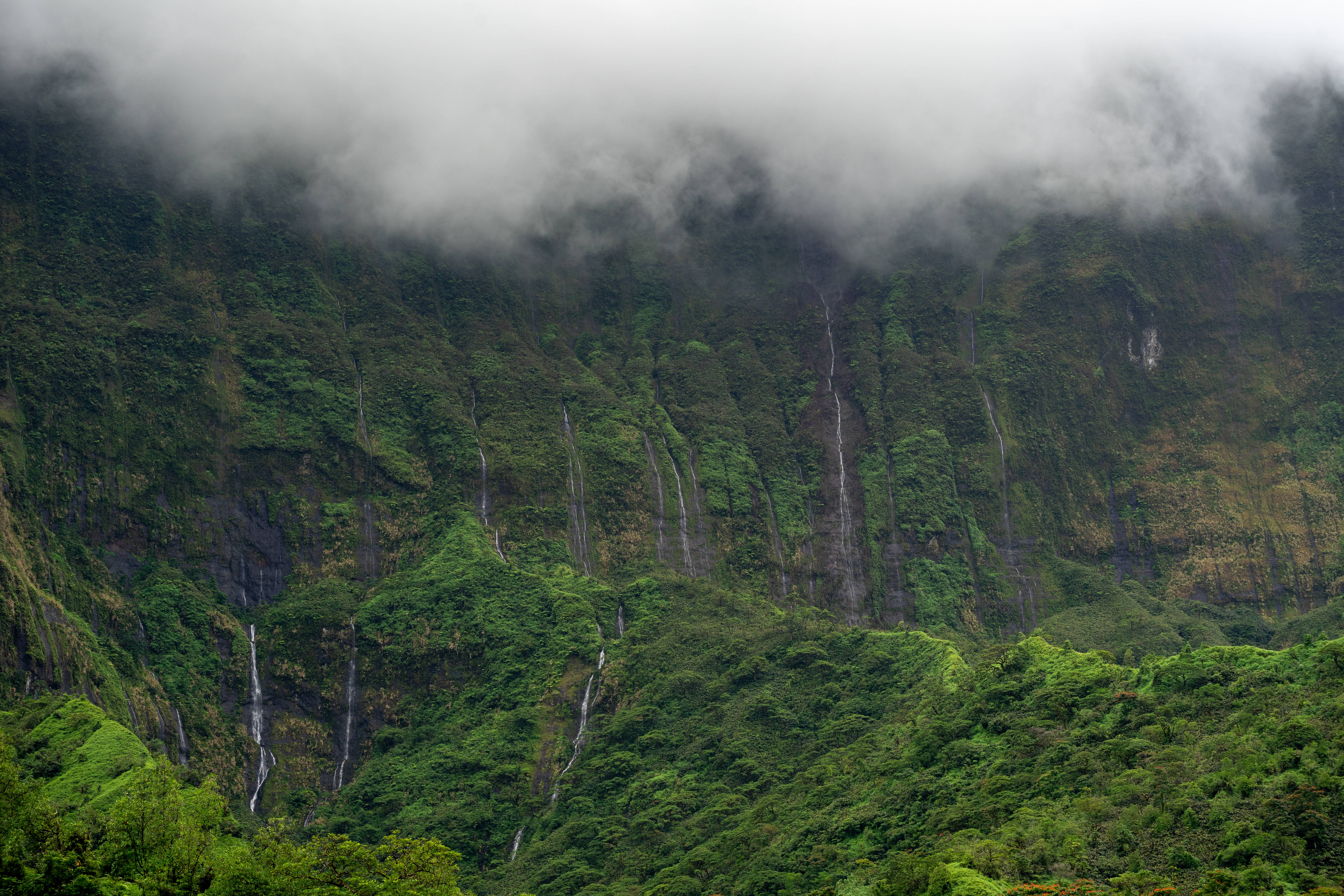 French Polynesia, misty green mountainside, waterfalls, 5K Desktop Wallpaper