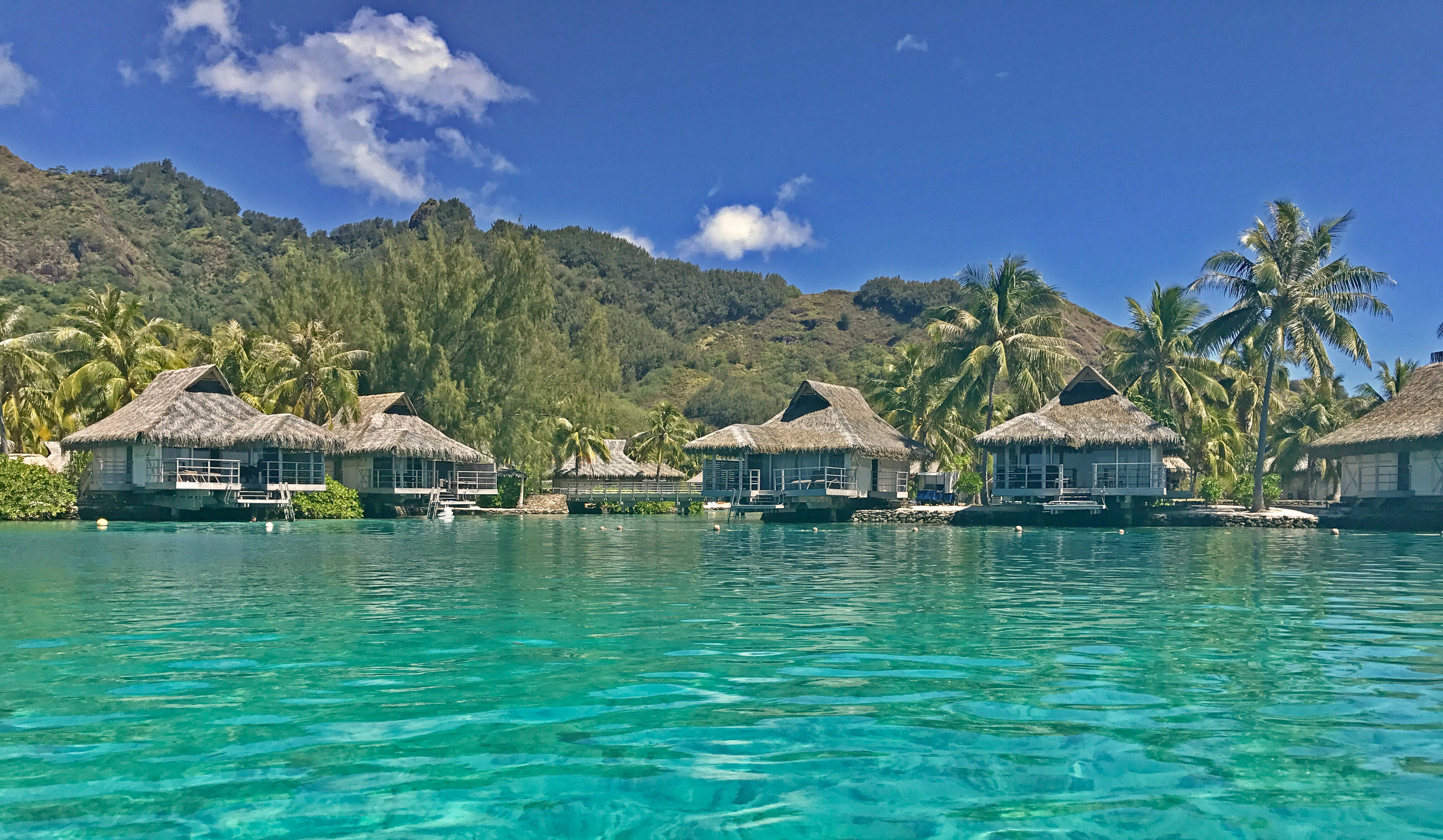 French Polynesia, overwater bungalows, thatched roofs, 4K Desktop Wallpaper
