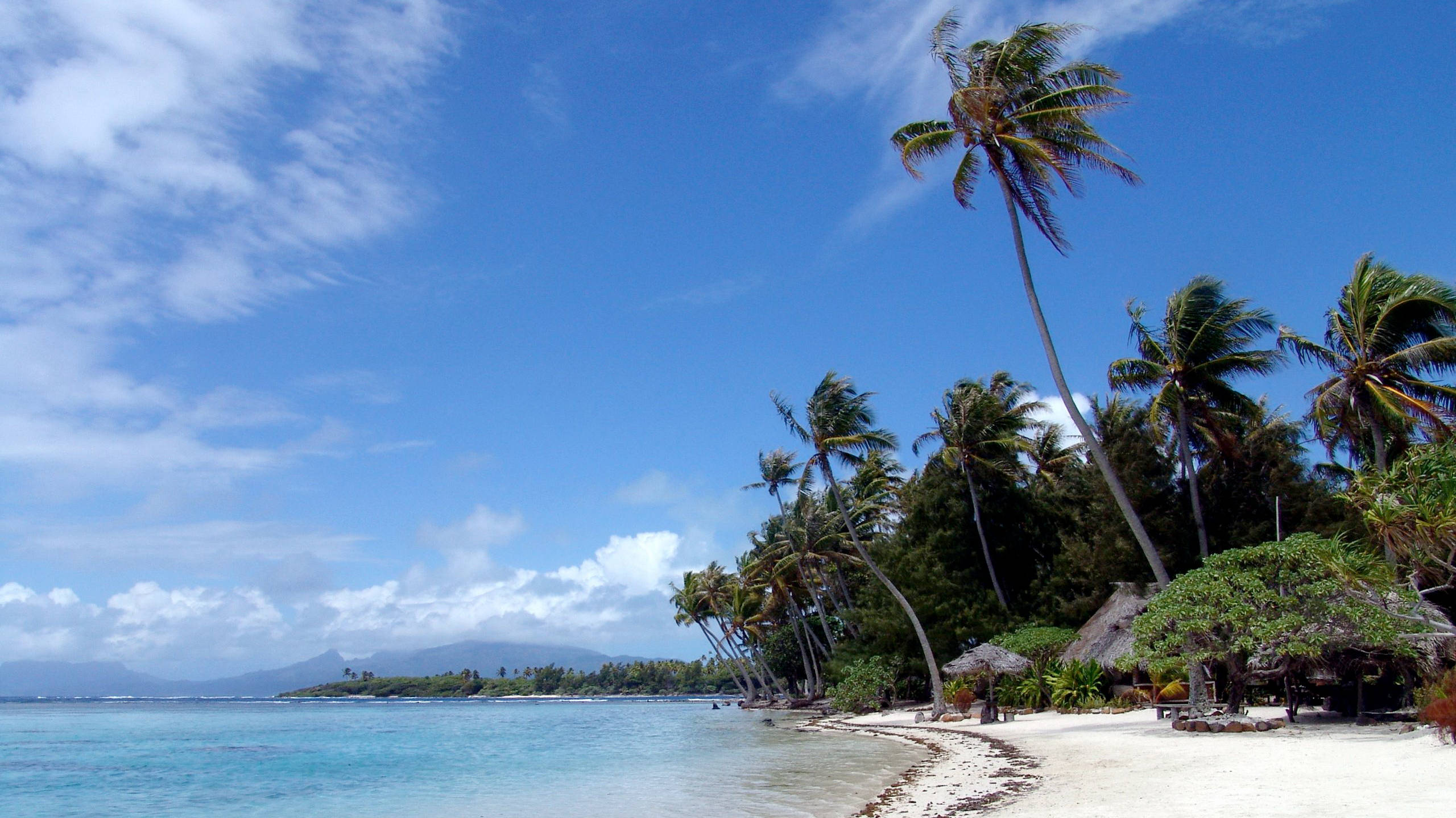 beach, French Polynesia, white sand, 2K Desktop Wallpaper