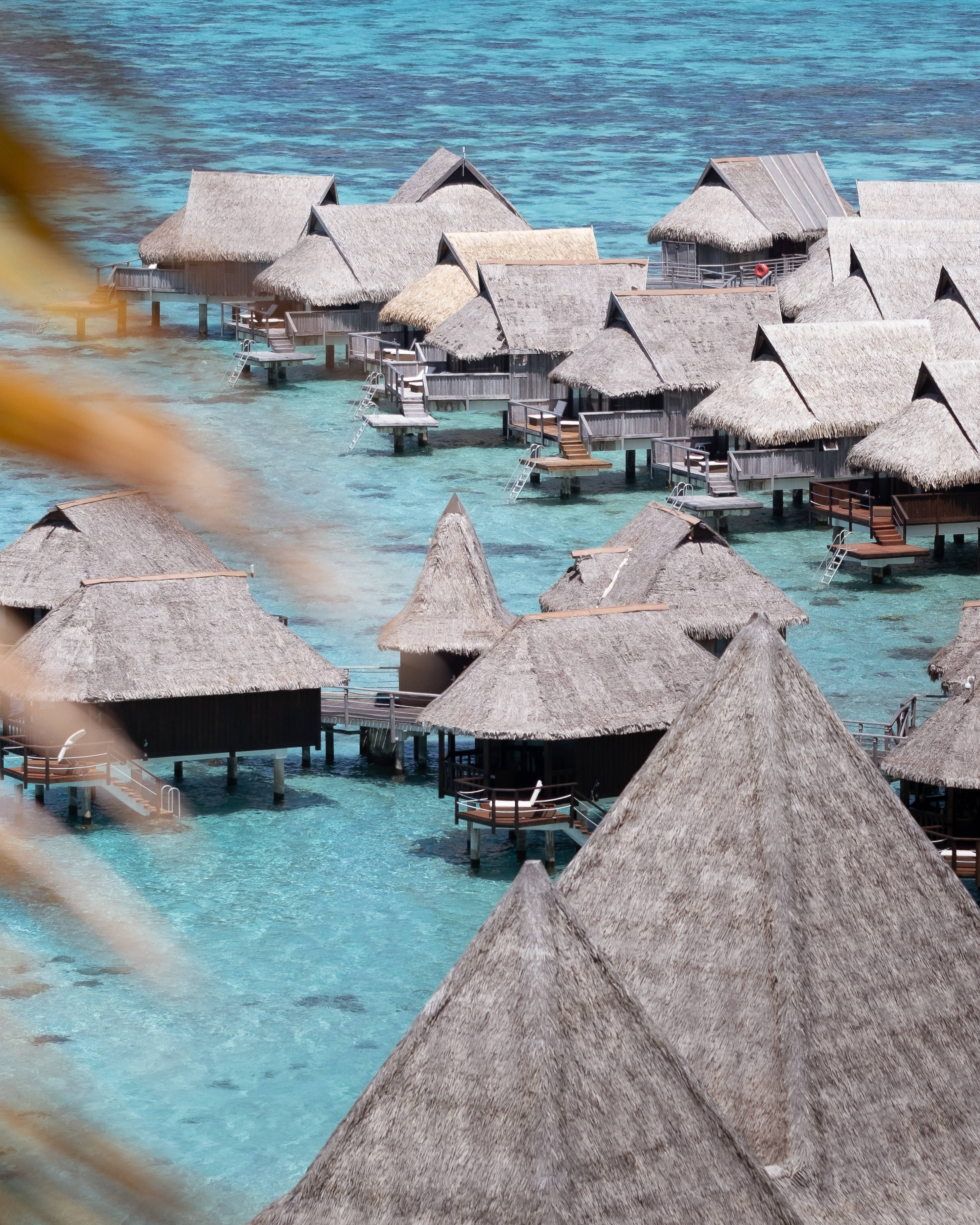 French Polynesia, thatched-roof overwater bungalows, crystal clear turquoise water, 2K Phone Wallpaper